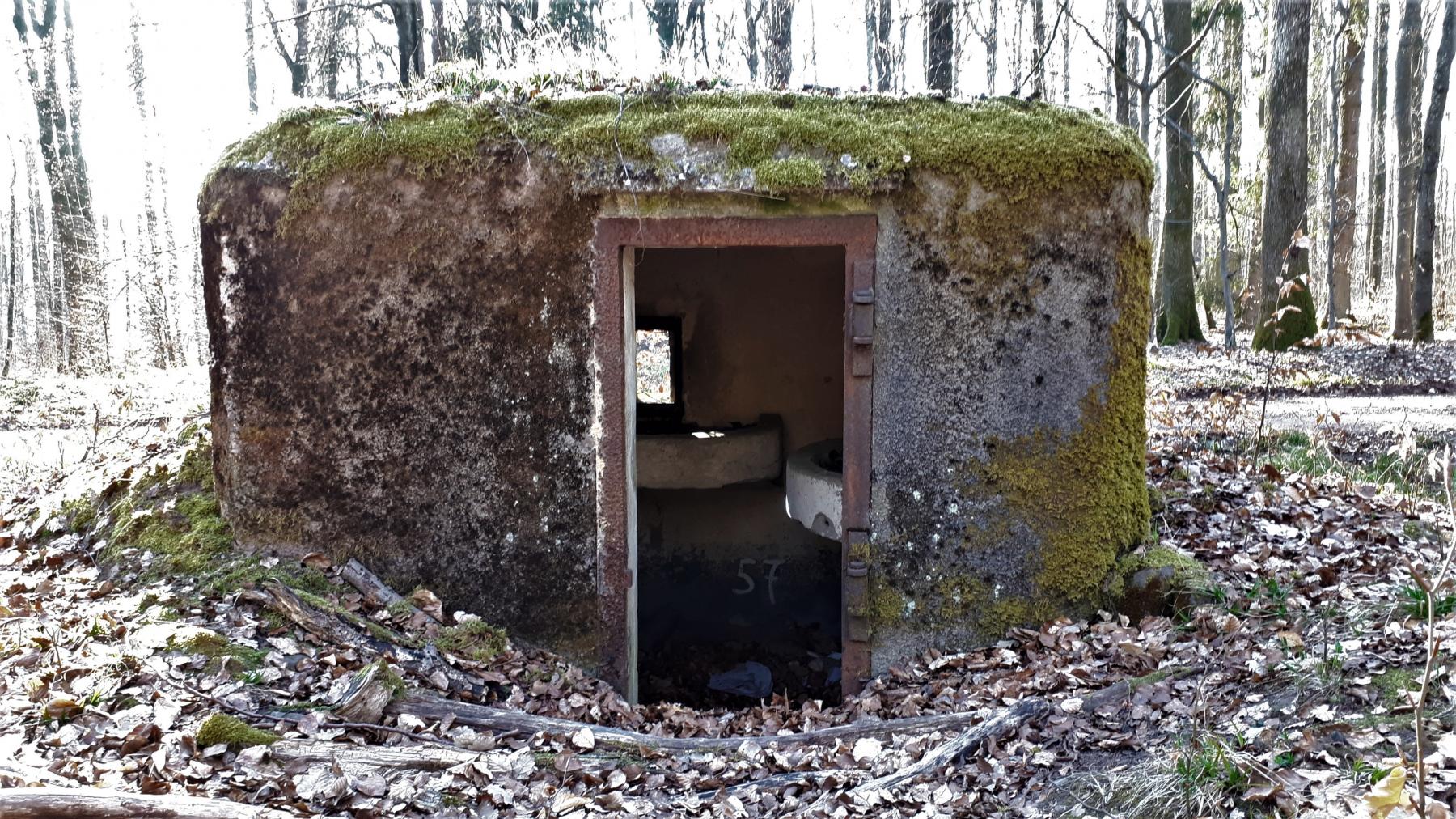 Ligne Maginot - FM31 - NONNENHARDT CENTRE 4 - (Blockhaus pour arme infanterie) - Entrée