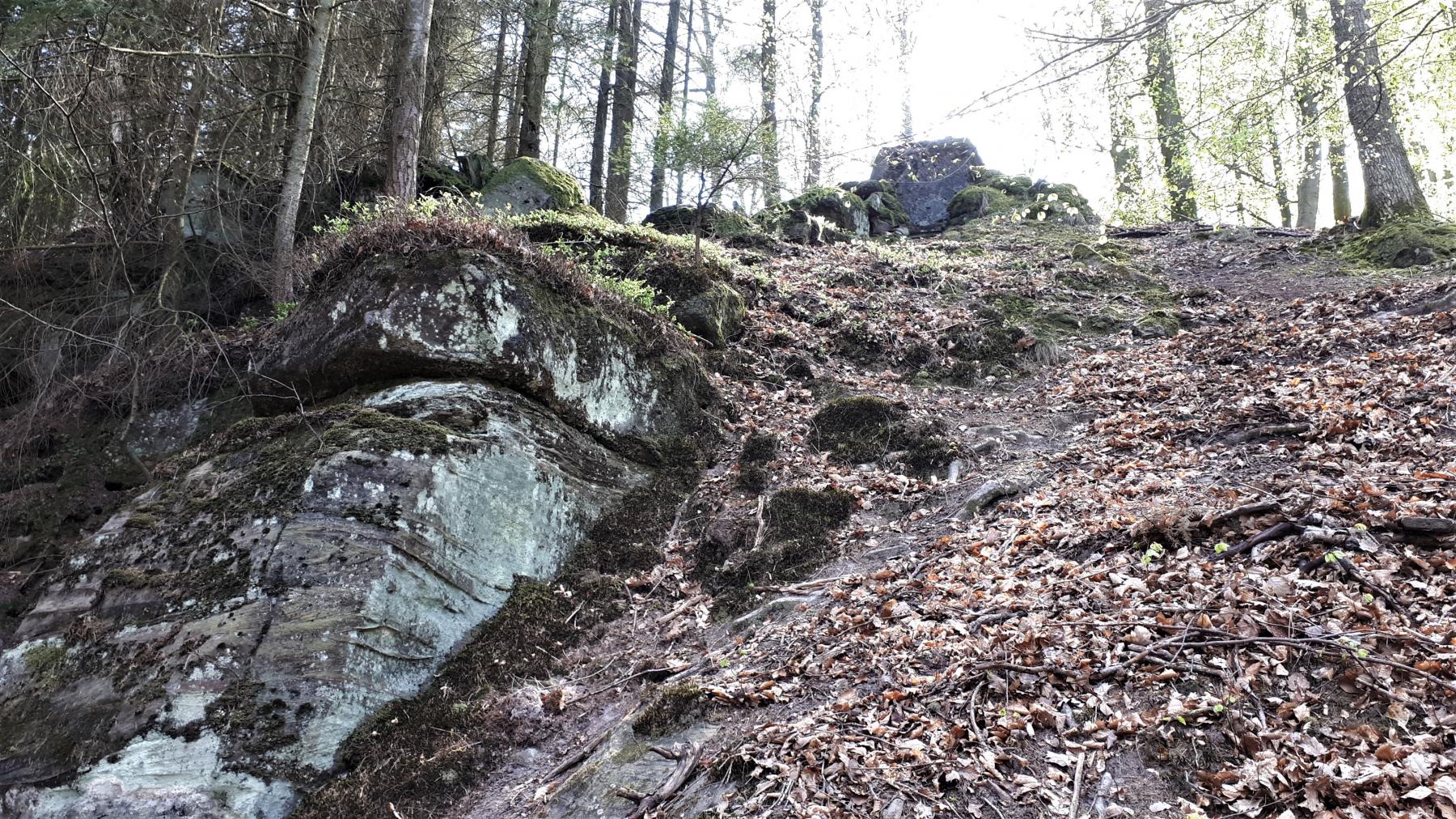 Ligne Maginot - FM35 - NONNENHARDT OUEST 1 - (Blockhaus pour arme infanterie) - Le bloc habilement dissimulé parmi les rochers