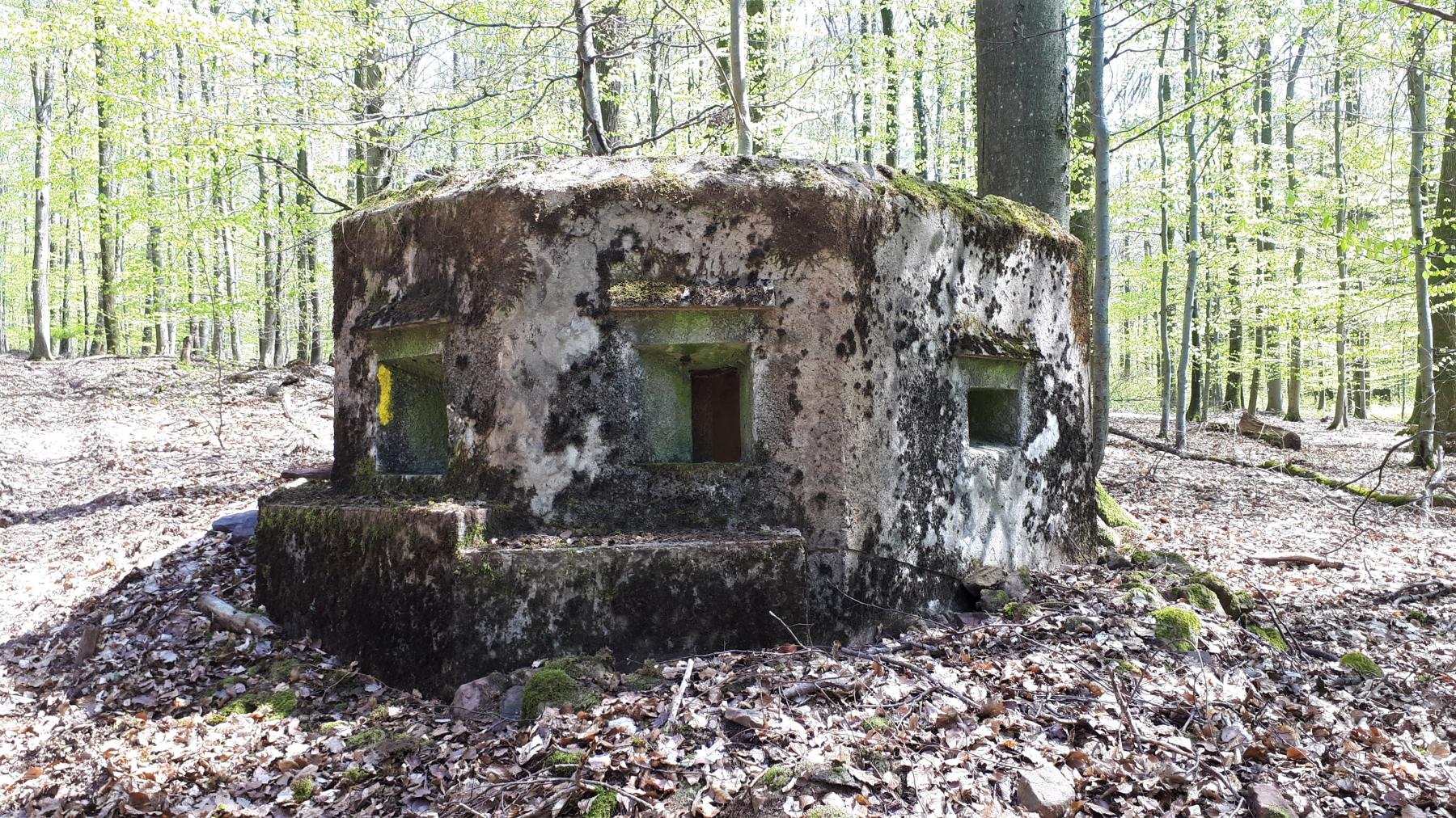 Ligne Maginot - FM33 - NONNENHARDT CENTRE 3 - (Blockhaus pour arme infanterie) - Vue coté gauche