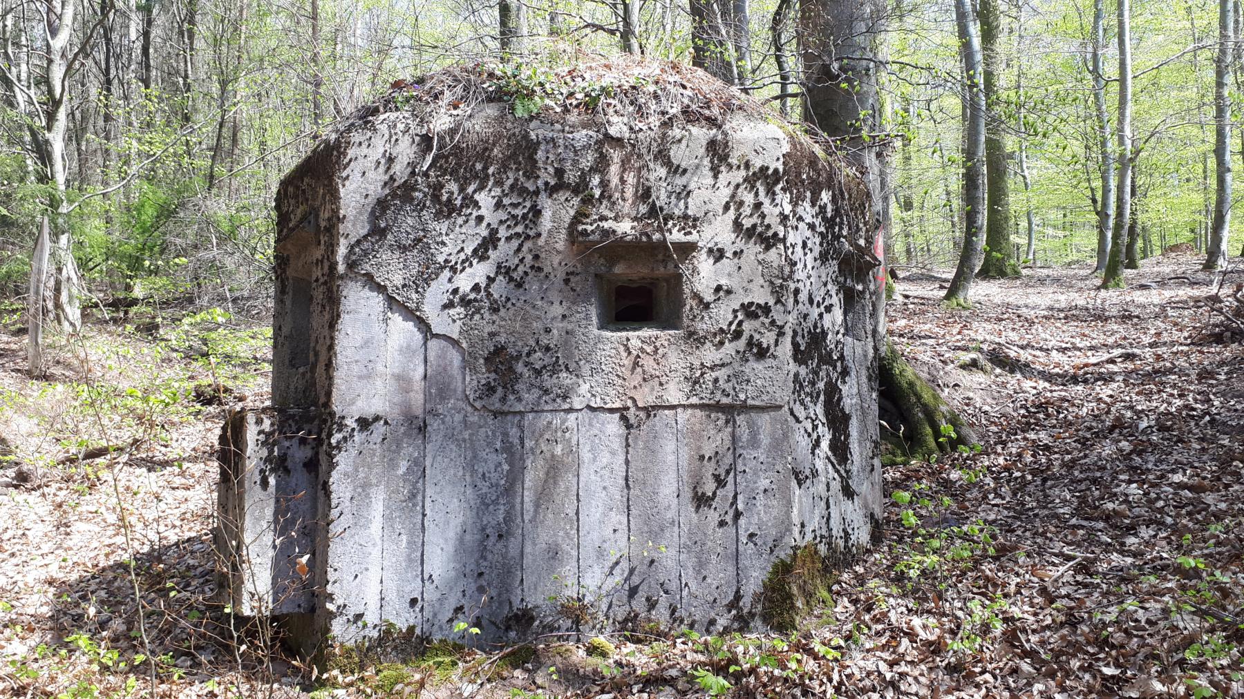 Ligne Maginot - FM45 - NONNENHARDT CENTRE 2 - (Blockhaus pour arme infanterie) - Créneau gauche