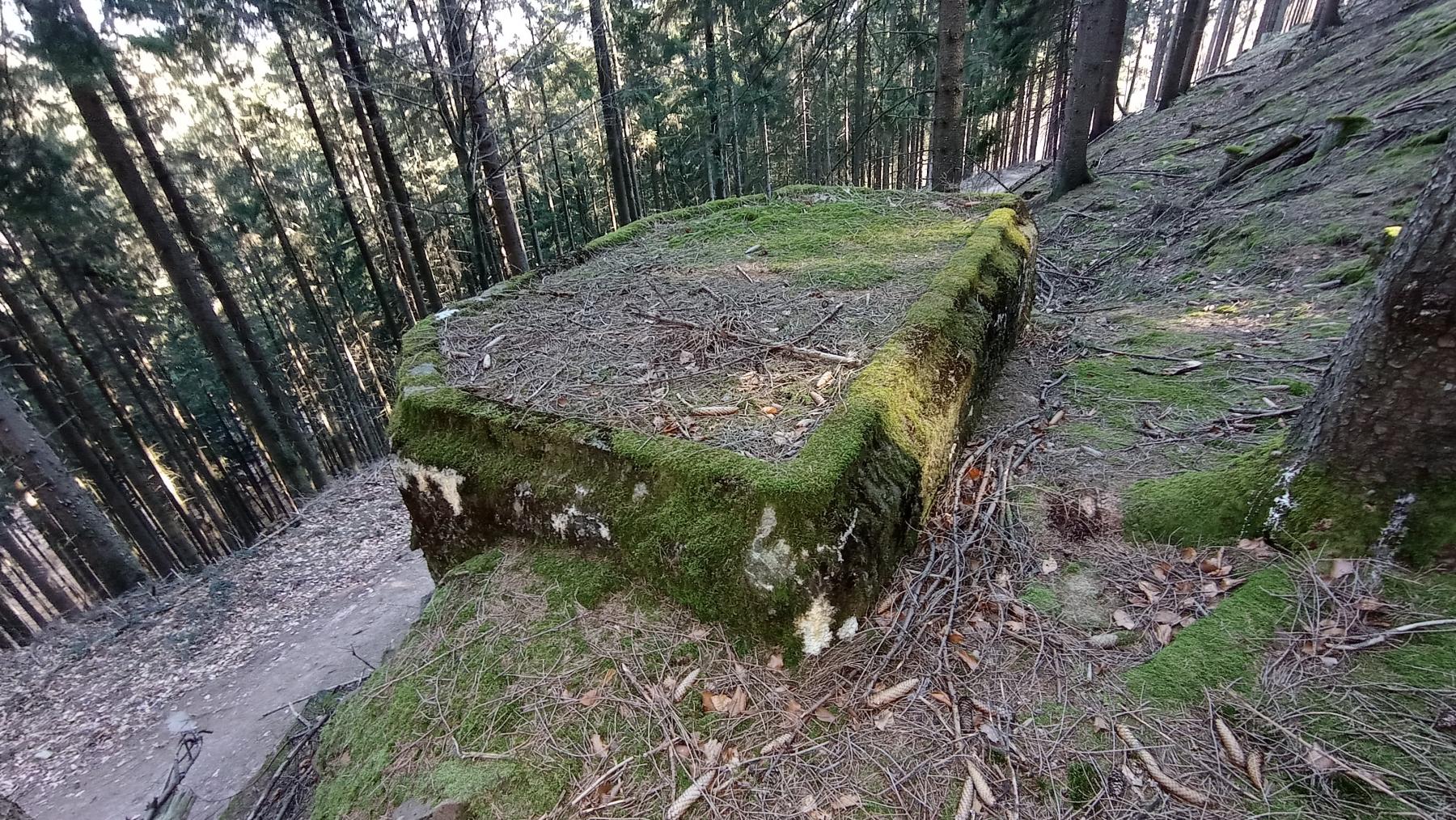 Ligne Maginot - FM77 - BETZENTHAL 4 - (Blockhaus pour arme infanterie) - Vue de la dalle