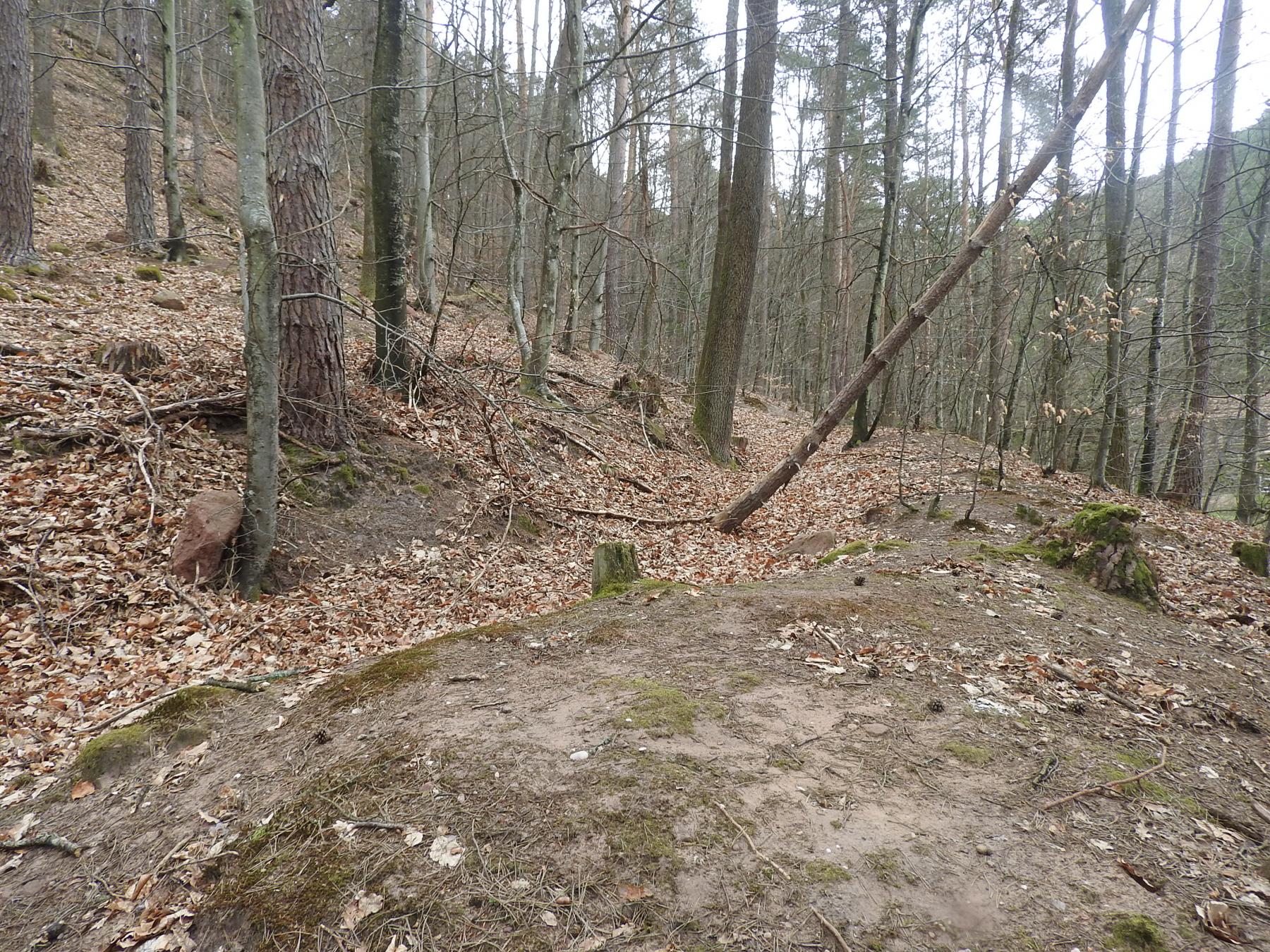 Ligne Maginot - FERME MUCKENTHAL 1 - (Cuve pour canon) - La tranchée d'accès qui relit les deux emplacements 1 et 2