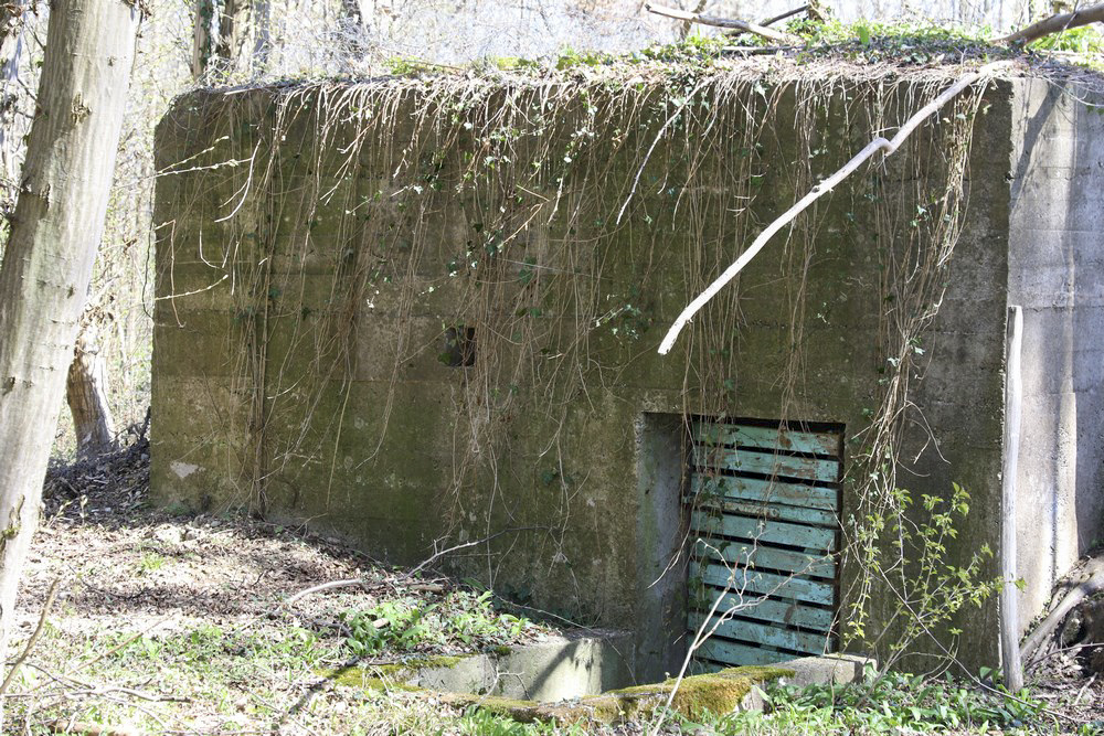 Ligne Maginot - OBERE MATTEN - (Abri) - Face Ouest avec entrée