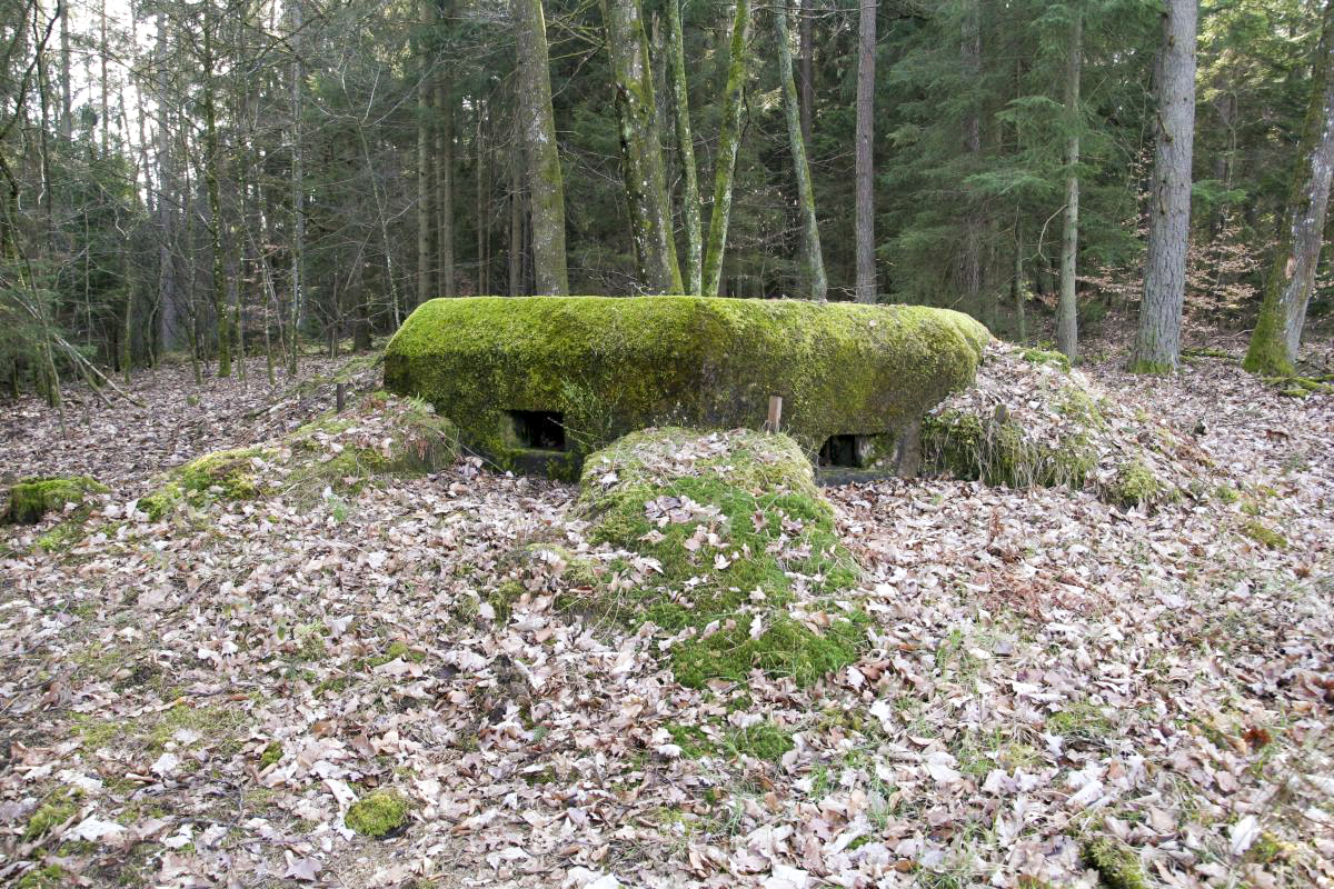 Ligne Maginot - NEUNHOFFEN NORD OUEST 2 - (Blockhaus pour arme infanterie) - Vue extérieure