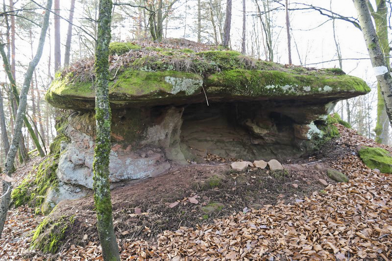 Ligne Maginot - PETIT STEINBERG  - (Cuve pour arme d'infanterie) - Position sommitale