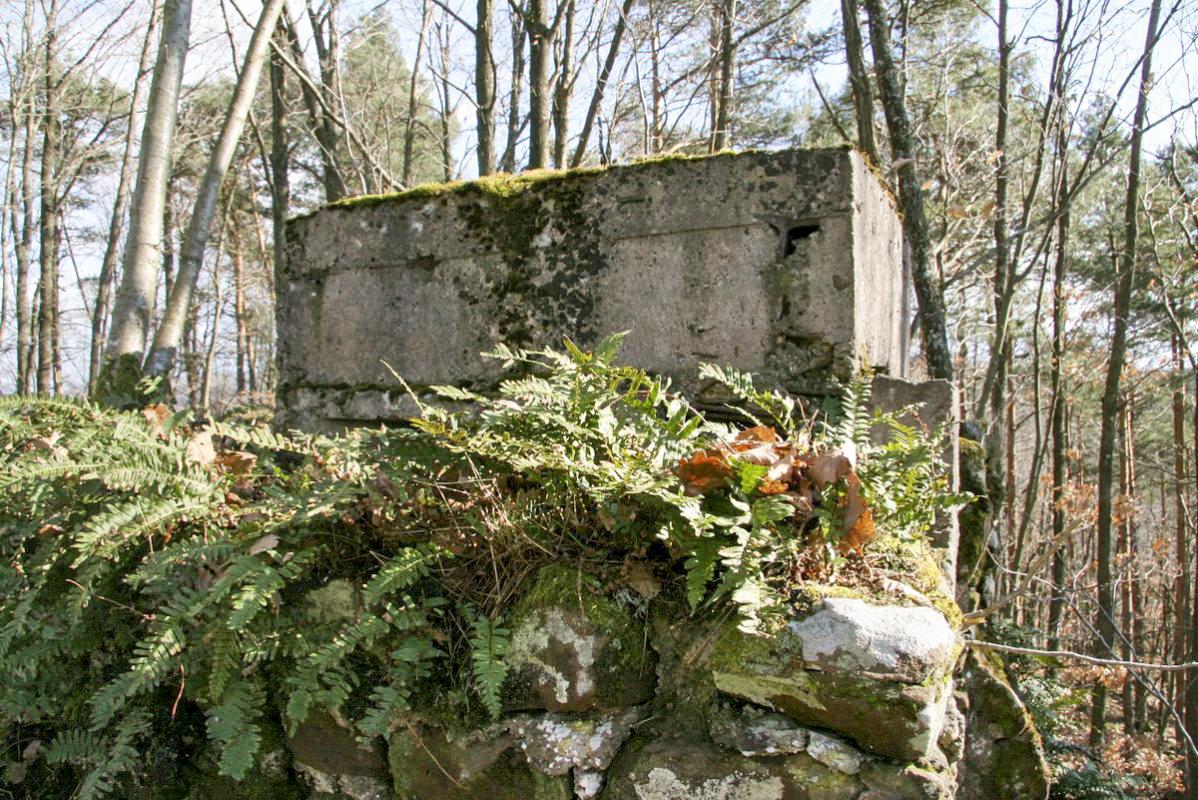 Ligne Maginot - ROTHENBERG (Observatoire d'infanterie) - 