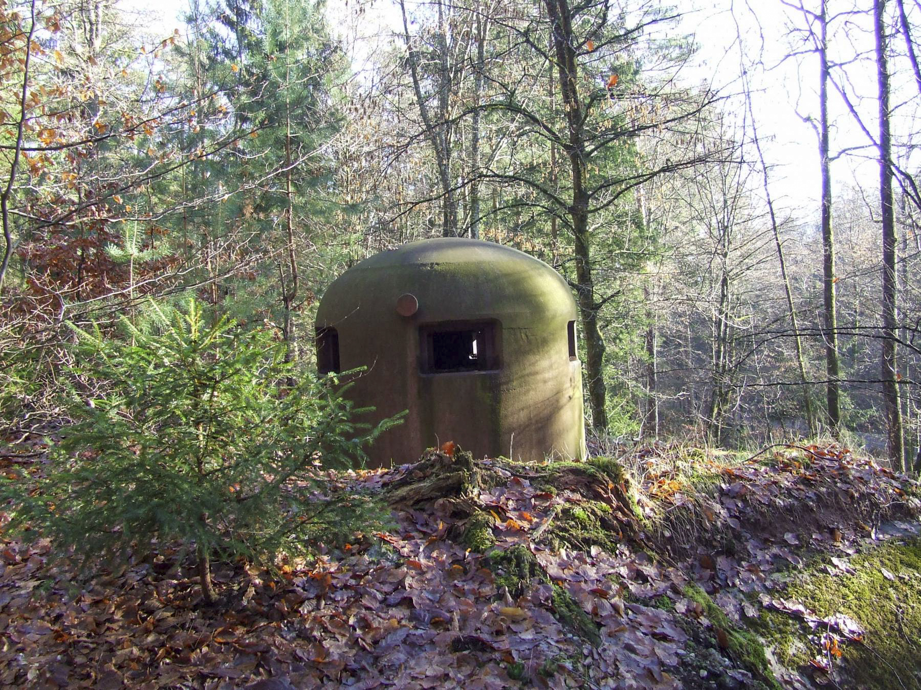 Ligne Maginot - WOLFSCHACHEN - (Abri) - La cloche GFM de l'entrée Ouest est en partie déchaussée