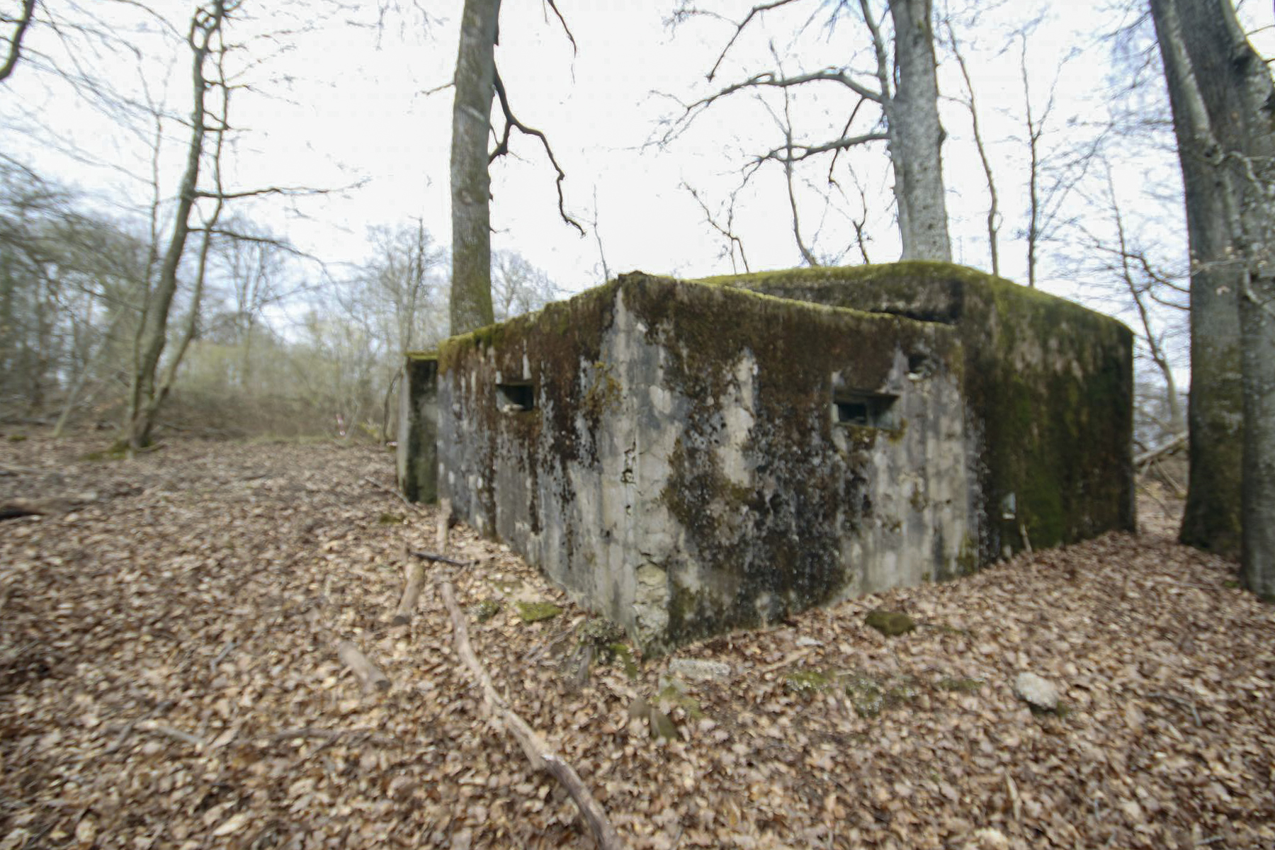 Ligne Maginot - KISSWALD 1 (AVANT POSTE) - (Blockhaus pour canon) - 