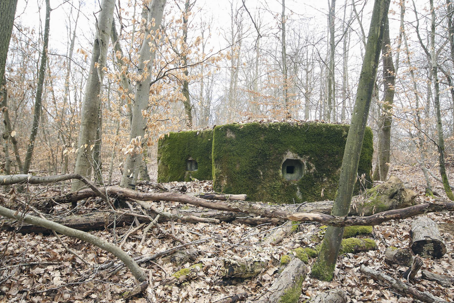 Ligne Maginot - KISSWALD 2 (AVANT POSTE) - (Blockhaus pour arme infanterie) - 