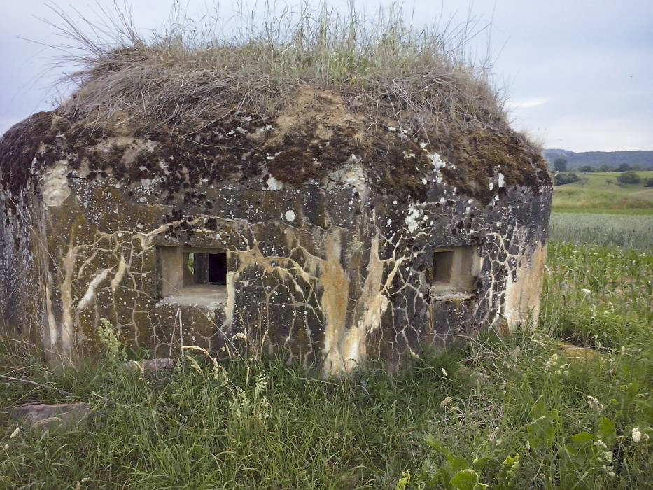 Ligne Maginot - ANDELSBERG 3 - (Blockhaus pour arme infanterie) - 