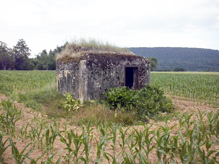 Ligne Maginot - ANDELSBERG 3 (Blockhaus pour arme infanterie) - 