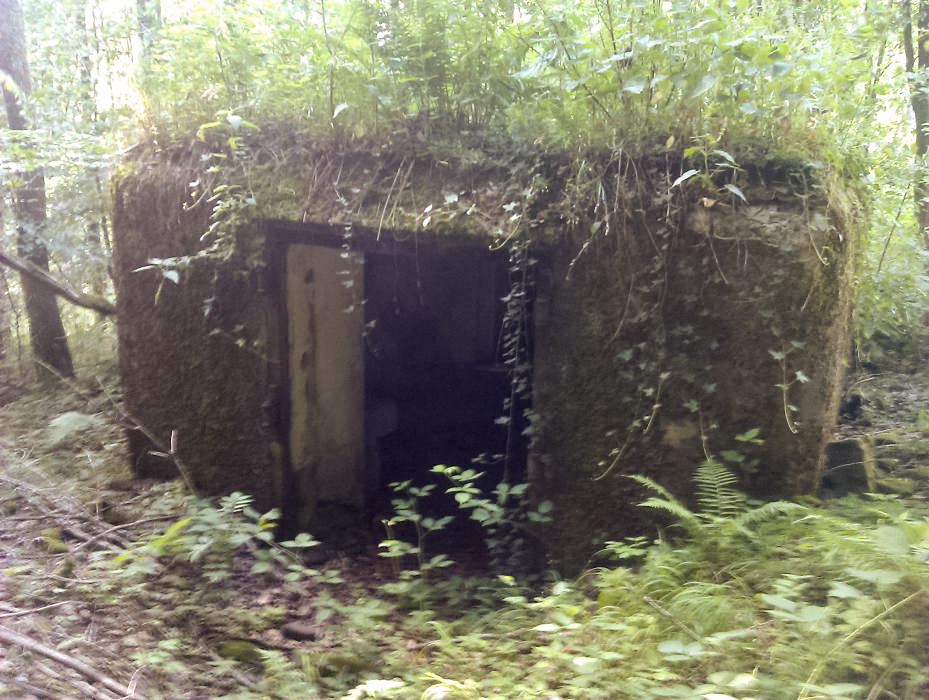 Ligne Maginot - C8 - NONNENHARDT MAISON FORESTIERE 2 - (Blockhaus pour canon) - L'entrée