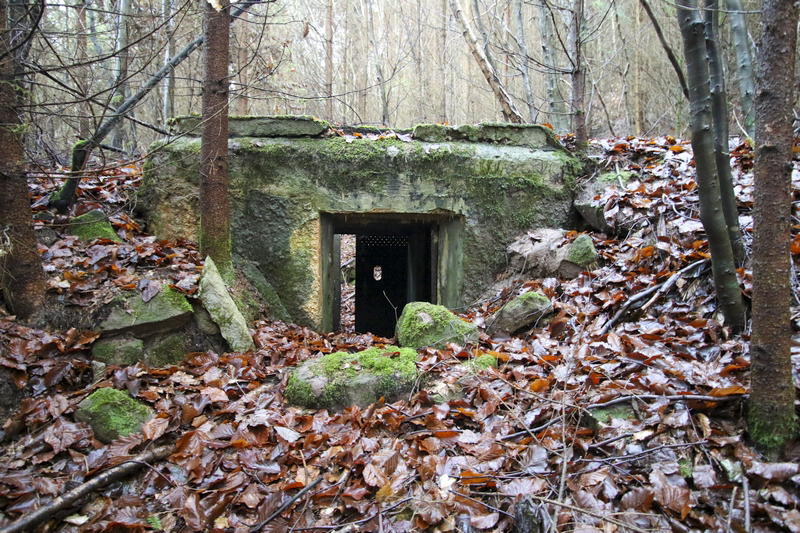 Ligne Maginot - C12 - FINSTERKOPF - (Blockhaus pour canon) - 