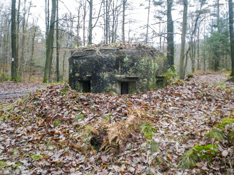 FM38 - DIEBSKOPF 2 - (Blockhaus pour arme infanterie)