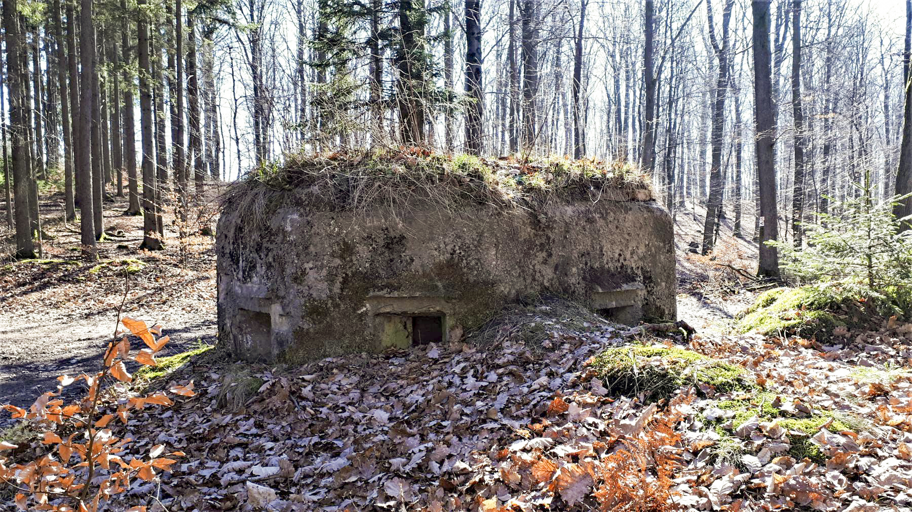 Ligne Maginot - FM38 - DIEBSKOPF 2 - (Blockhaus pour arme infanterie) - Vue coté gauche