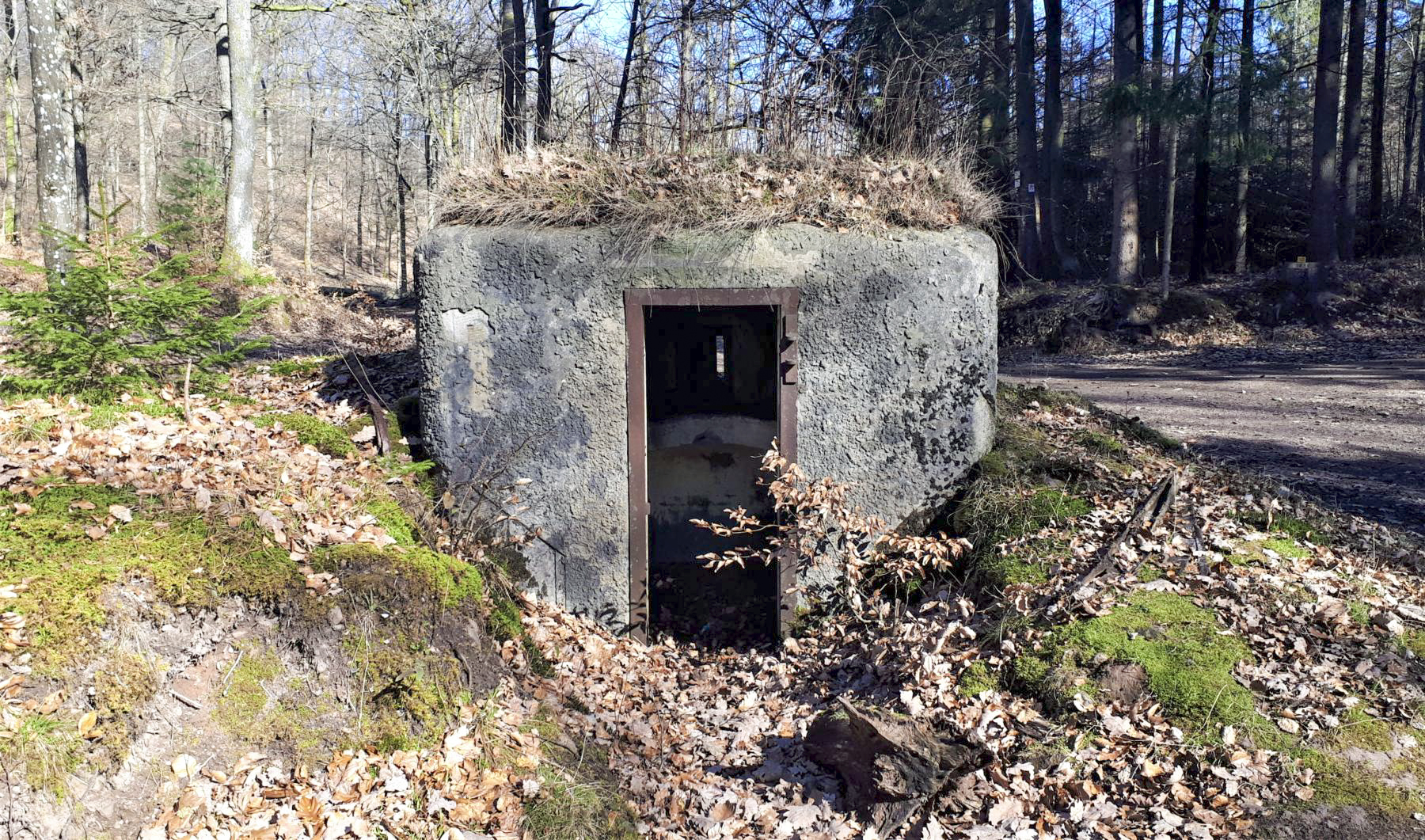 Ligne Maginot - FM38 - DIEBSKOPF 2 - (Blockhaus pour arme infanterie) - Entrée