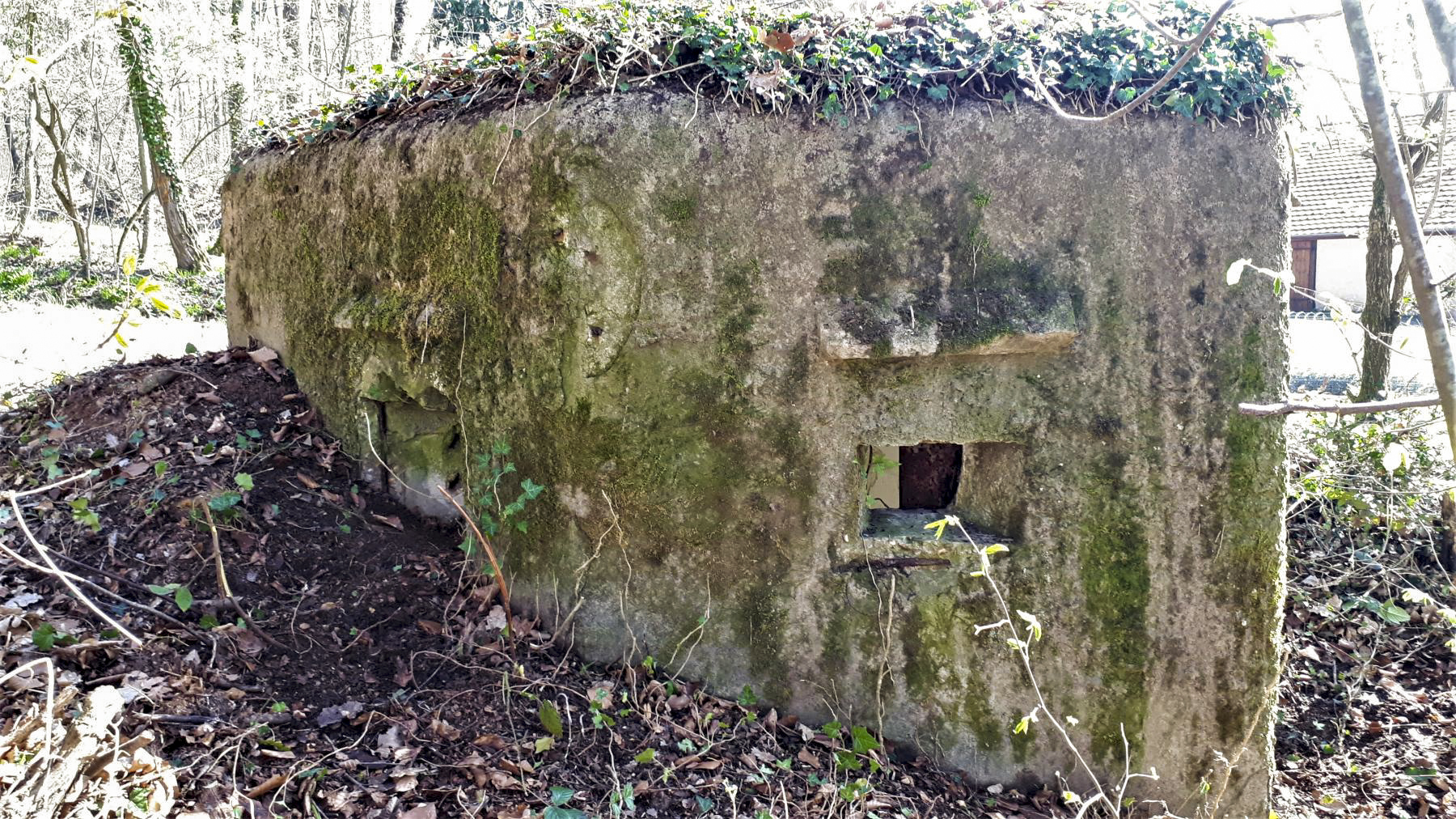 Ligne Maginot - FM32 - NONNENHARDT MAISON FORESTIERE 1 - (Blockhaus pour arme infanterie) - Créneau arrière gauche