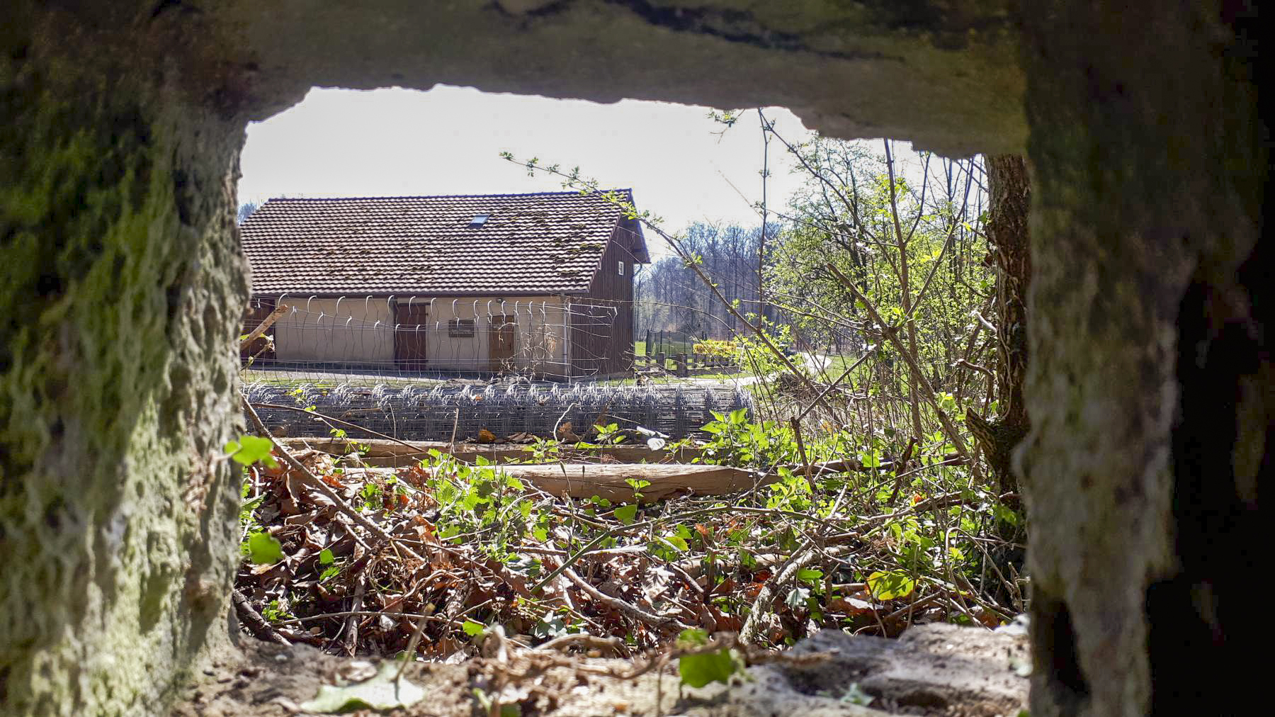 Ligne Maginot - FM32 - NONNENHARDT MAISON FORESTIERE 1 - (Blockhaus pour arme infanterie) - Vue depuis le créneau arrière droit