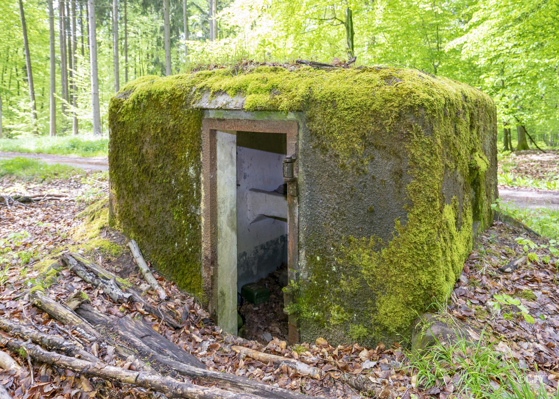 Ligne Maginot - FM31 - NONNENHARDT CENTRE 4 - (Blockhaus pour arme infanterie) - Entrée