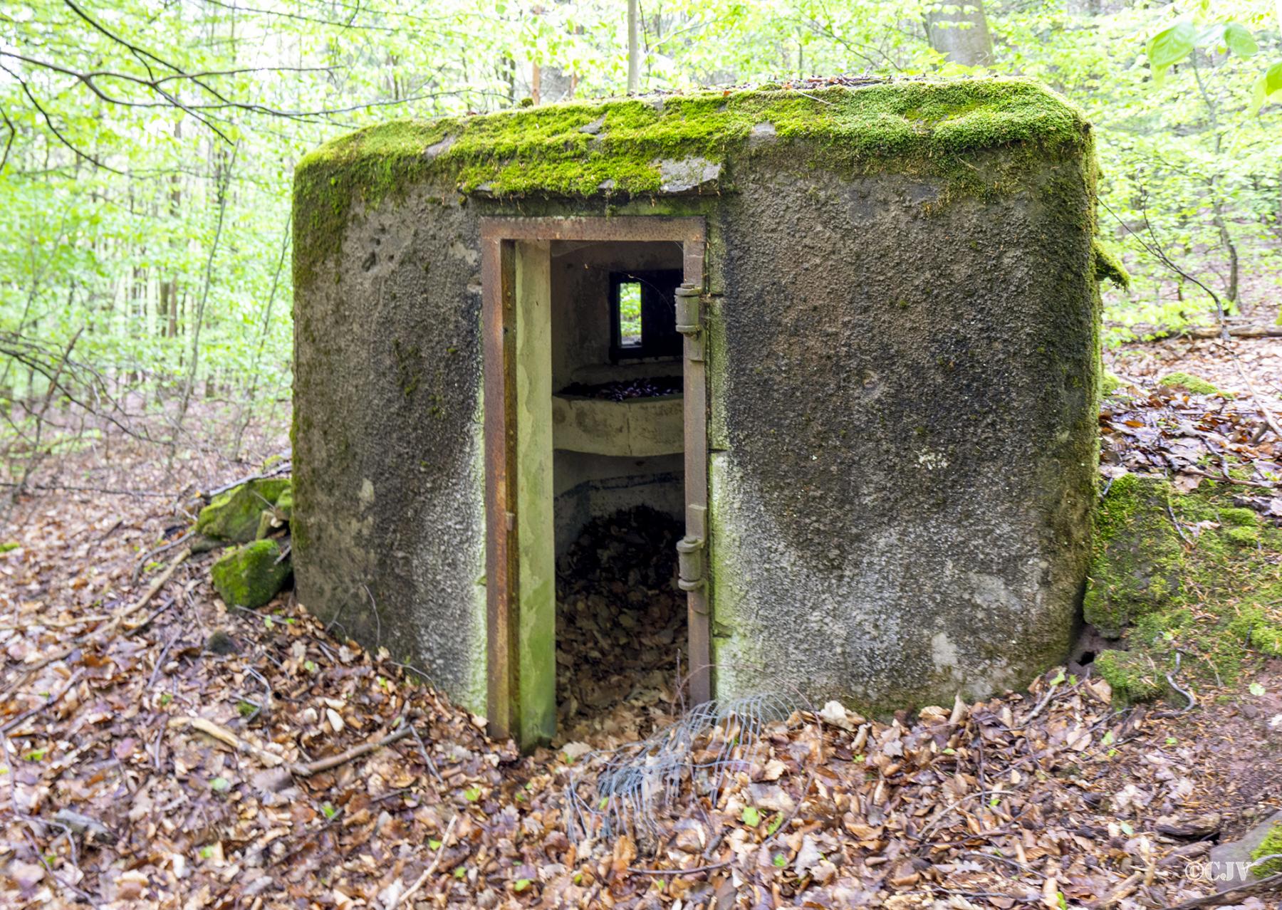 Ligne Maginot - FM33 - NONNENHARDT CENTRE 3 - (Blockhaus pour arme infanterie) - L'entrée