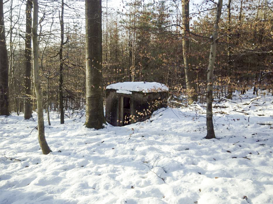 Ligne Maginot - FM33 - NONNENHARDT CENTRE 3 - (Blockhaus pour arme infanterie) - Vue vers l'entrée