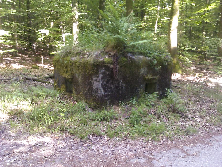 Ligne Maginot - FM31 - NONNENHARDT CENTRE 4 - (Blockhaus pour arme infanterie) - Créneau frontal et latéral droit