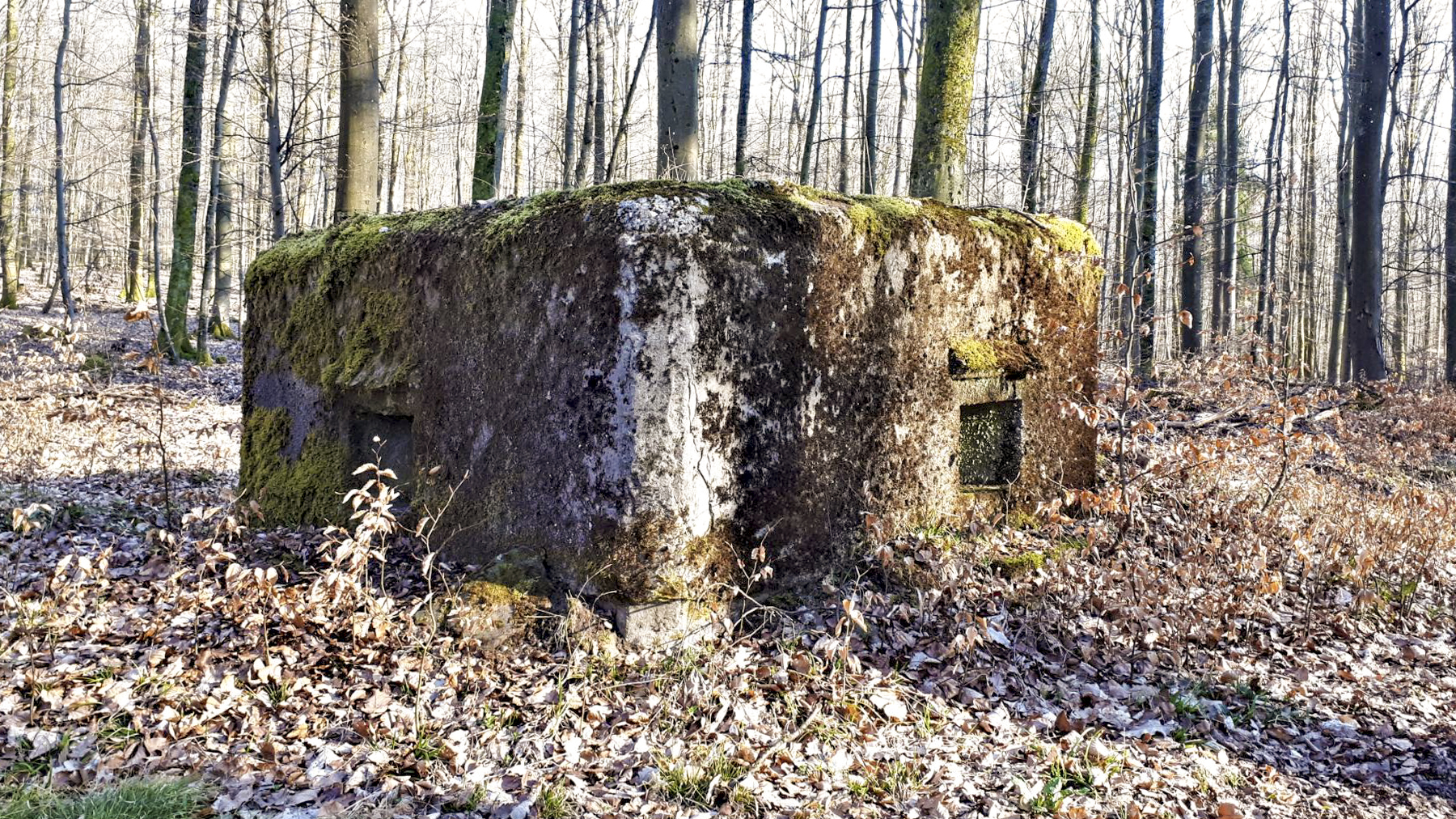 Ligne Maginot - FM31 - NONNENHARDT CENTRE 4 - (Blockhaus pour arme infanterie) - Créneau frontal et latéral droit