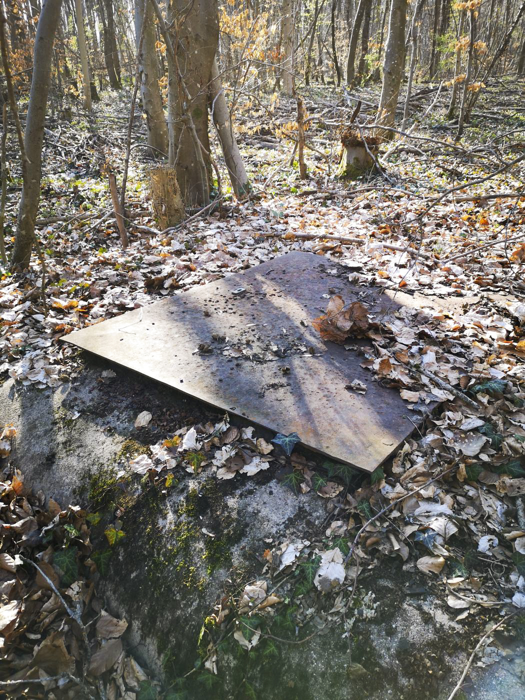 Ligne Maginot - 12T - (Chambre de coupure) - Trappe de la chambre de coupure