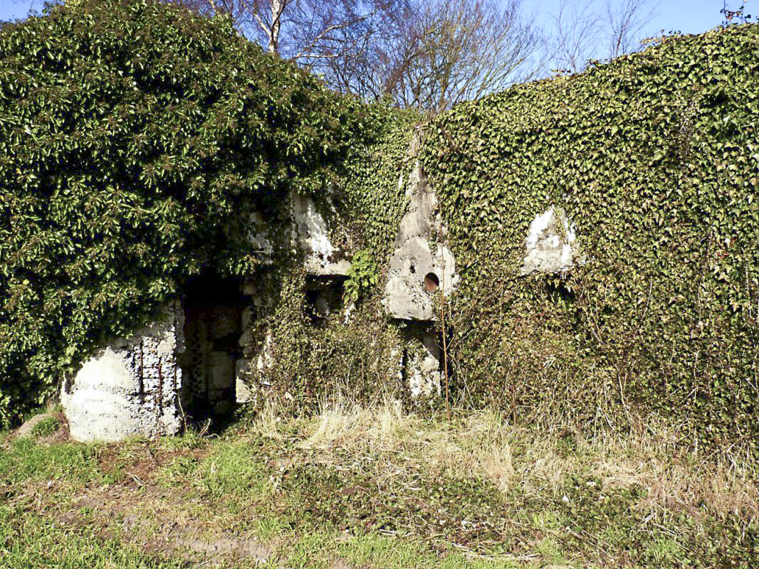 Ligne Maginot - A1 - TROIS ROIS (Blockhaus pour canon) - 