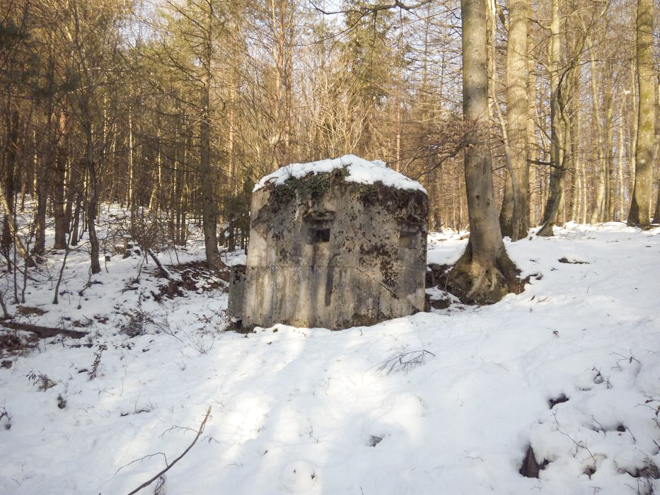 Ligne Maginot - FM45 - NONNENHARDT CENTRE 2 - (Blockhaus pour arme infanterie) - Vue coté gauche