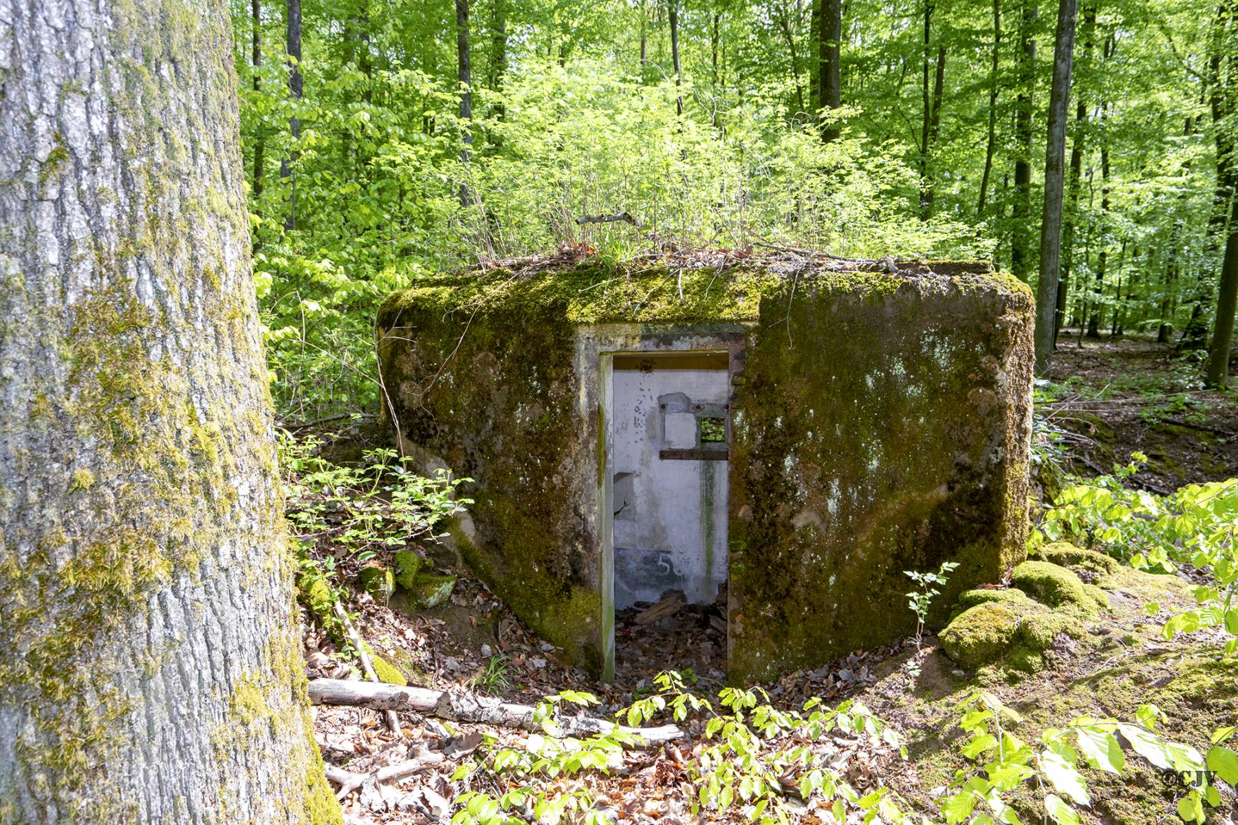 Ligne Maginot - FM46 - NONNENHARDT CENTRE 5 - (Blockhaus pour arme infanterie) - Entrée