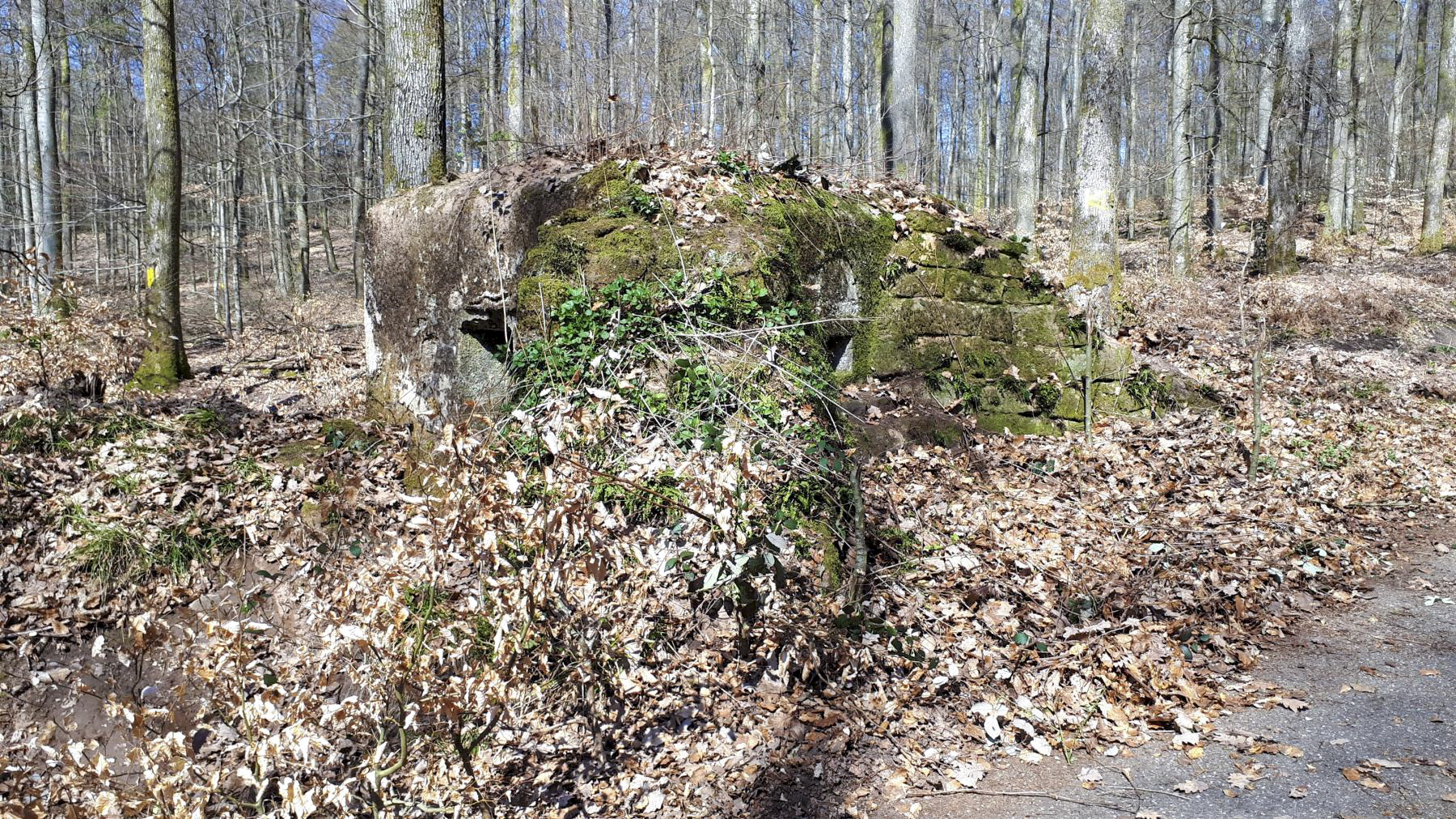 Ligne Maginot - FM46 - NONNENHARDT CENTRE 5 - (Blockhaus pour arme infanterie) - Créneau frontal et latéral droit
