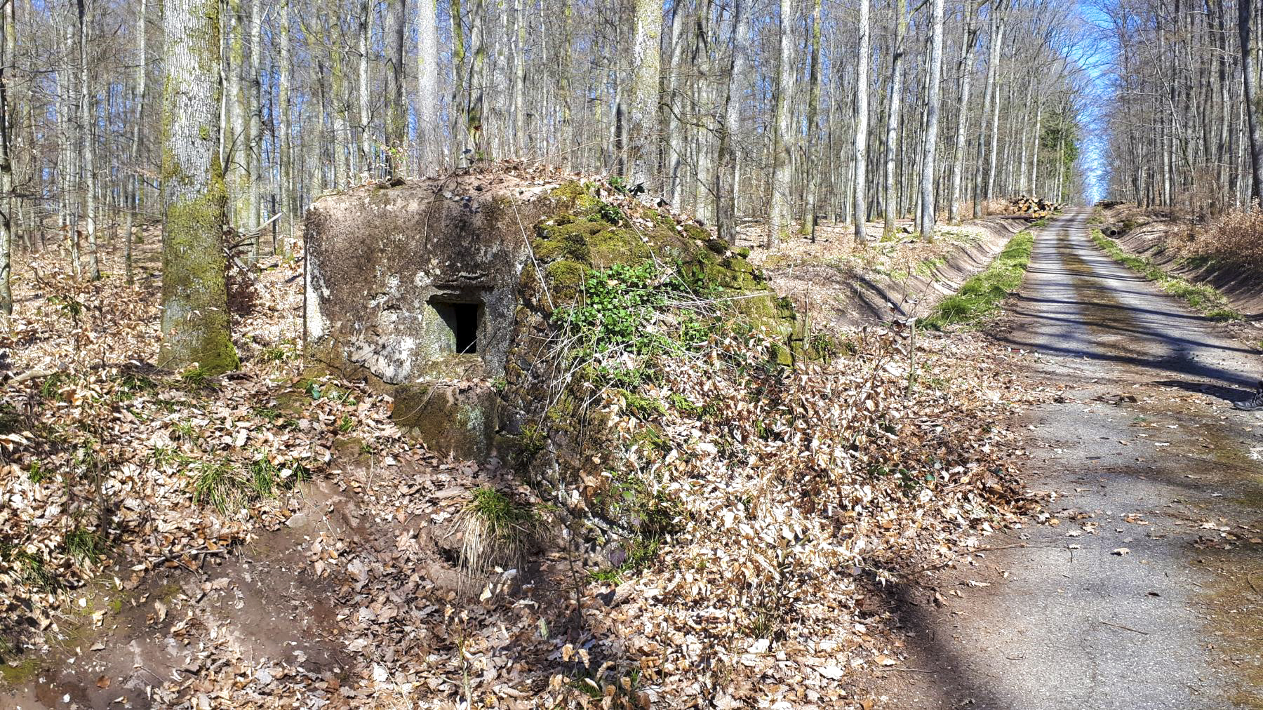Ligne Maginot - FM46 - NONNENHARDT CENTRE 5 - (Blockhaus pour arme infanterie) - Le créneau latéral droit, prenant le chemin forestier en enfilade