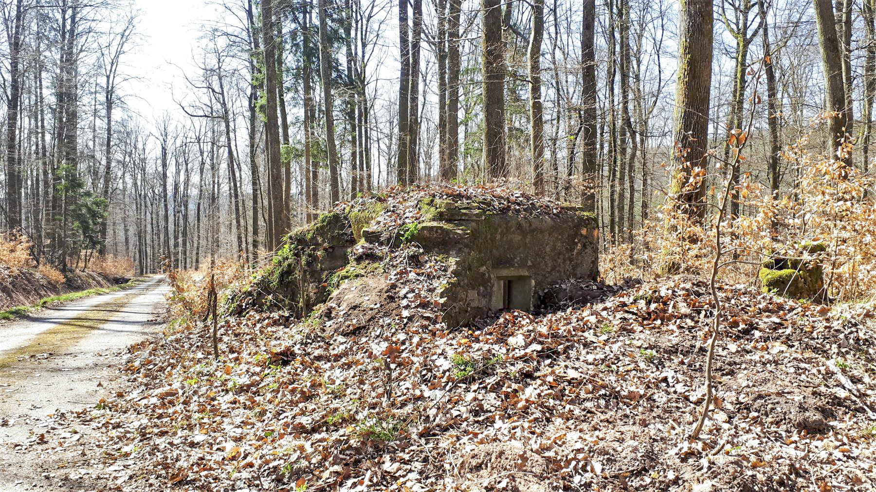 Ligne Maginot - FM46 - NONNENHARDT CENTRE 5 - (Blockhaus pour arme infanterie) - Le créneau latéral gauche, prenant le chemin forestier en enfilade