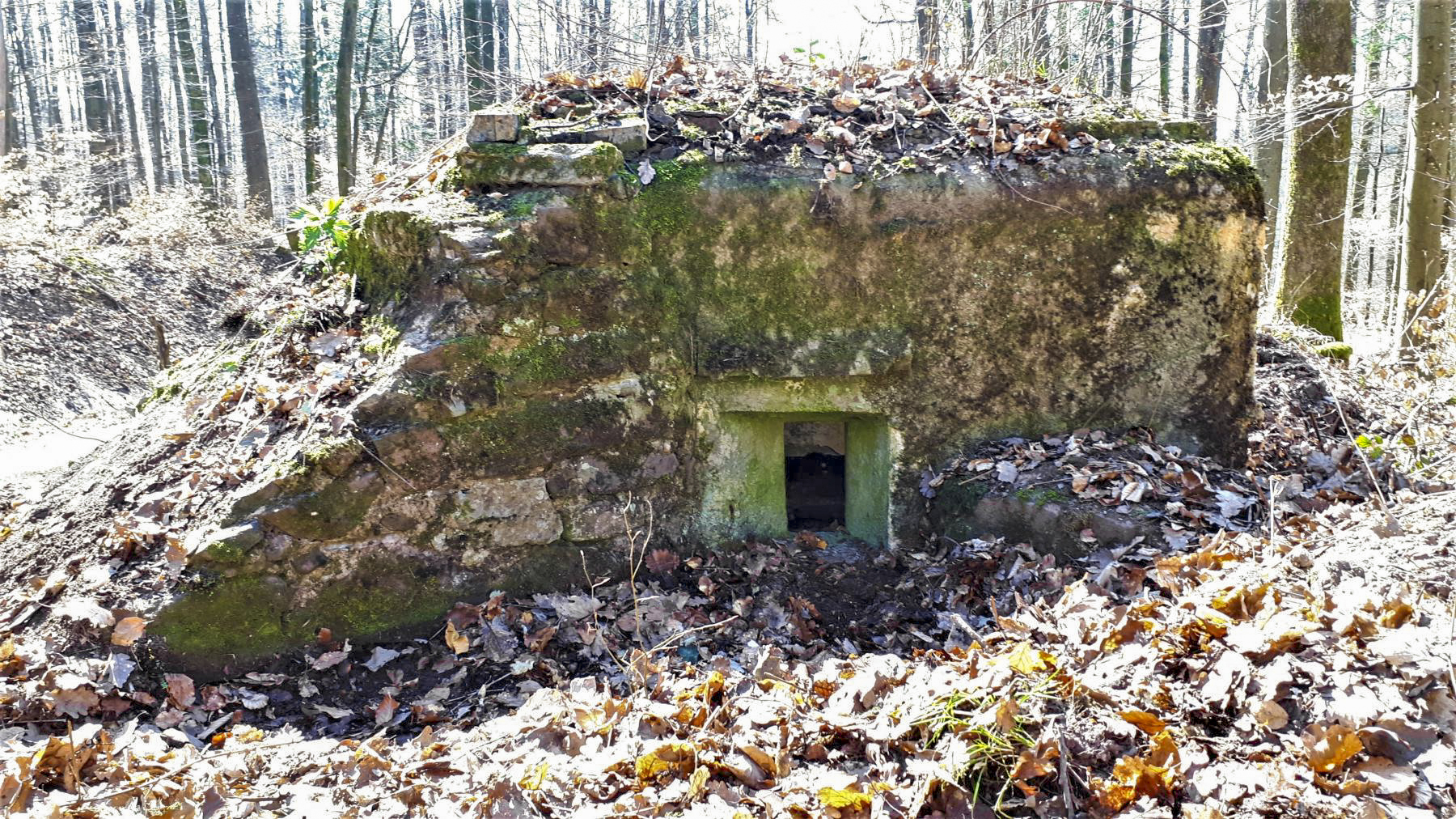 Ligne Maginot - FM46 - NONNENHARDT CENTRE 5 - (Blockhaus pour arme infanterie) - Créneau latéral gauche