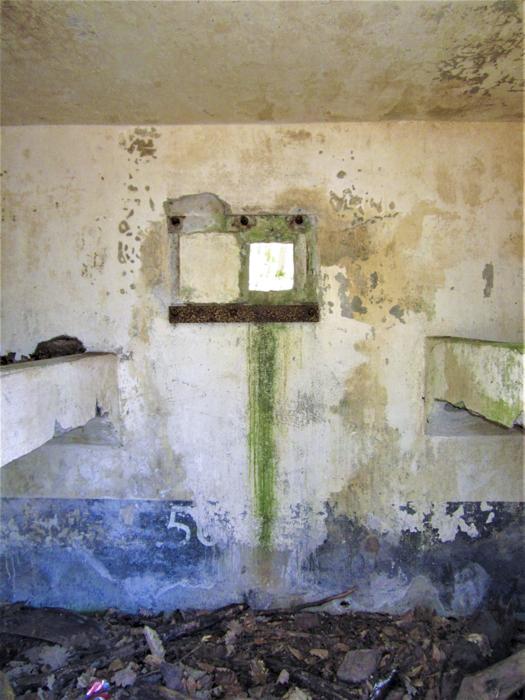 Ligne Maginot - FM46 - NONNENHARDT CENTRE 5 - (Blockhaus pour arme infanterie) - Créneau frontal et marquage n°56