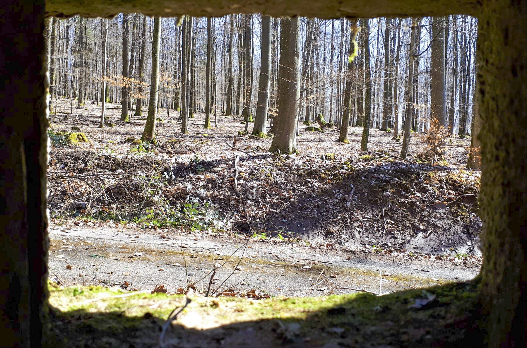 Ligne Maginot - FM46 - NONNENHARDT CENTRE 5 - (Blockhaus pour arme infanterie) - Vue depuis le créneau frontal
