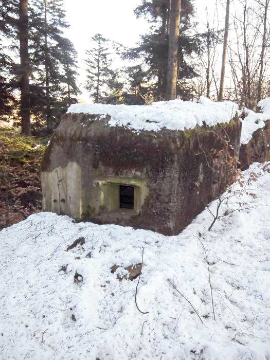 Ligne Maginot - FM47 - NONNENHARDT EST 4 - (Blockhaus pour arme infanterie) - 