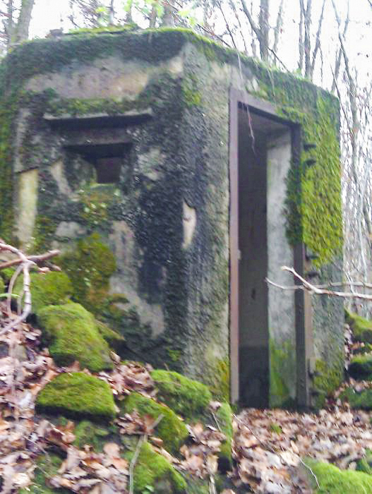 Ligne Maginot - FM49 - WEIBERSLOCH - (Blockhaus pour arme infanterie) - Créneau arrière gauche