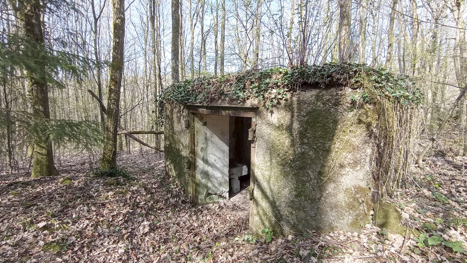 Ligne Maginot - C8 - NONNENHARDT MAISON FORESTIERE 2 - (Blockhaus pour canon) - L'entrée