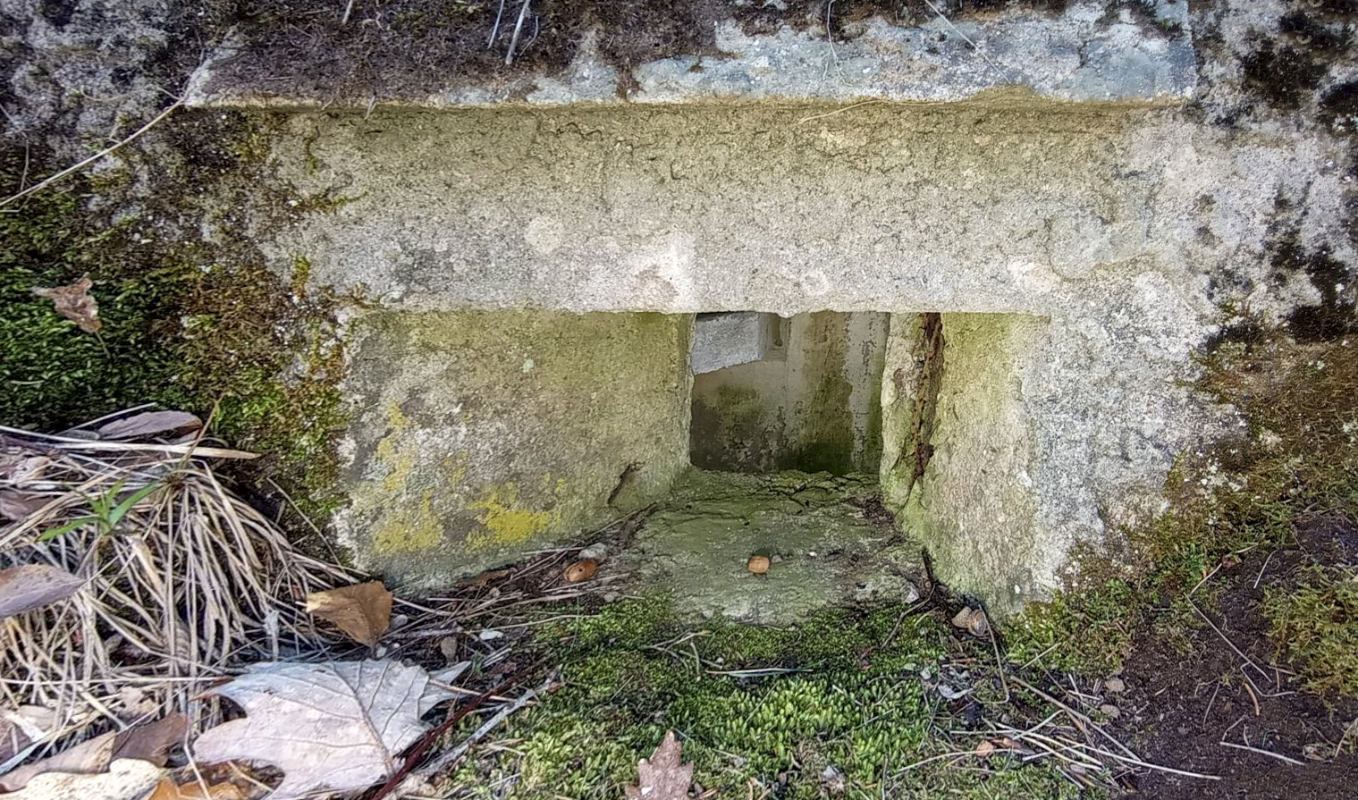 Ligne Maginot - FM38 - DIEBSKOPF 2 - (Blockhaus pour arme infanterie) - Détail du créneau arrière gauche 