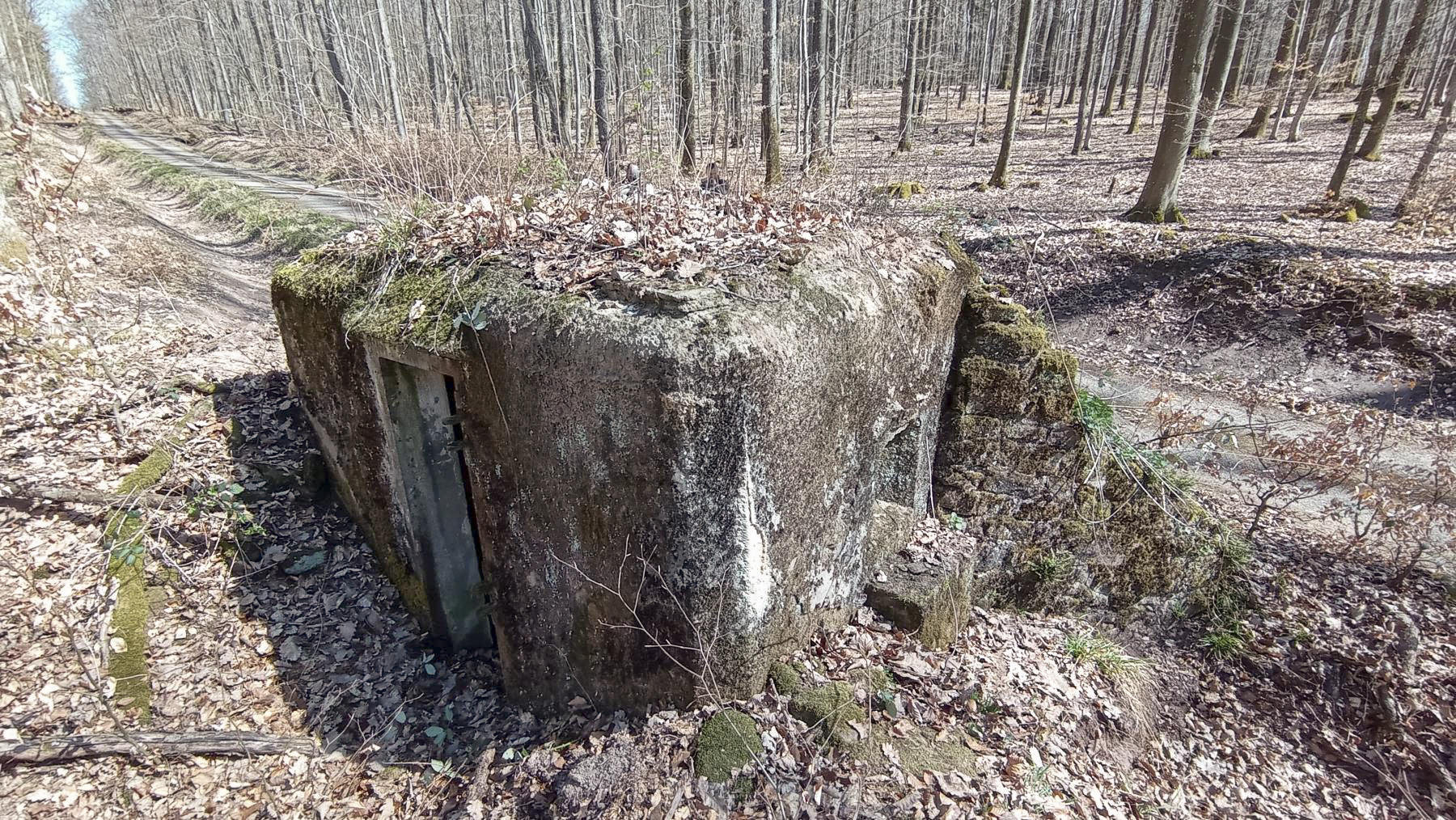 Ligne Maginot - FM46 - NONNENHARDT CENTRE 5 - (Blockhaus pour arme infanterie) - Le blockhaus bordant un chemin forestier