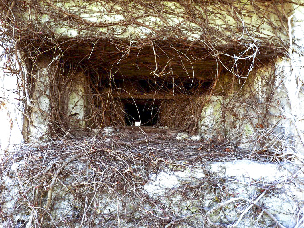Ligne Maginot - A4 - OOST CAPPEL - (Blockhaus lourd type STG / STG-FCR - Double) - 