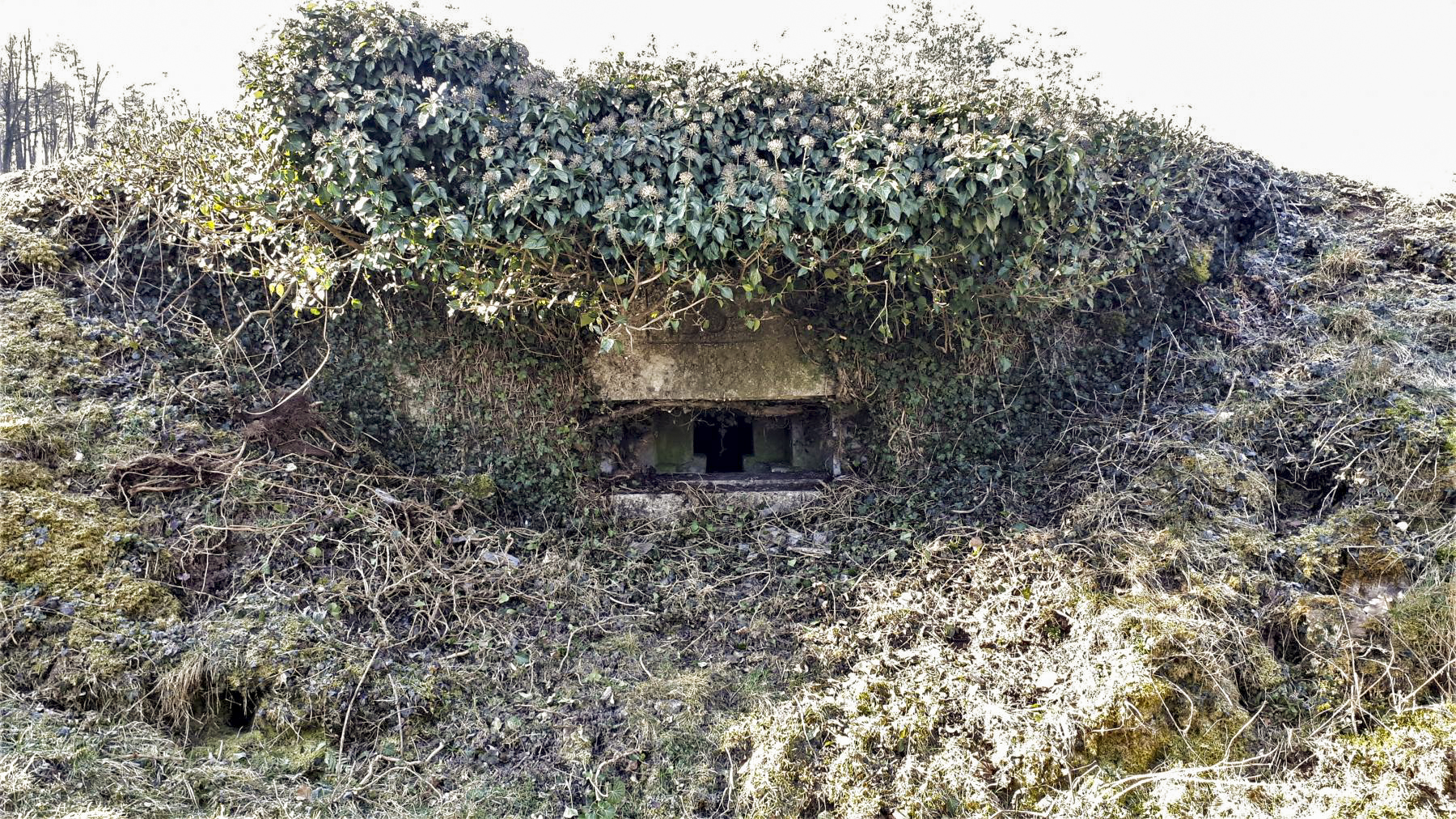 Ligne Maginot - FM127 - PETIT MUEHLBERG NORD - (Blockhaus pour arme infanterie) - Le bloc vue de face