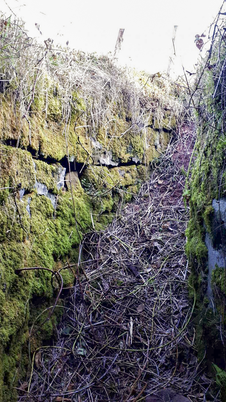 Ligne Maginot - FM127 - PETIT MUEHLBERG NORD - (Blockhaus pour arme infanterie) - La tranchée menant à l'entrée