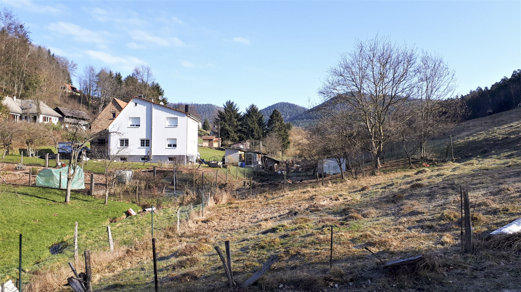 Ligne Maginot - FM127 - PETIT MUEHLBERG NORD - (Blockhaus pour arme infanterie) - Direction de tir du bloc, au fond du vallon de Windstein