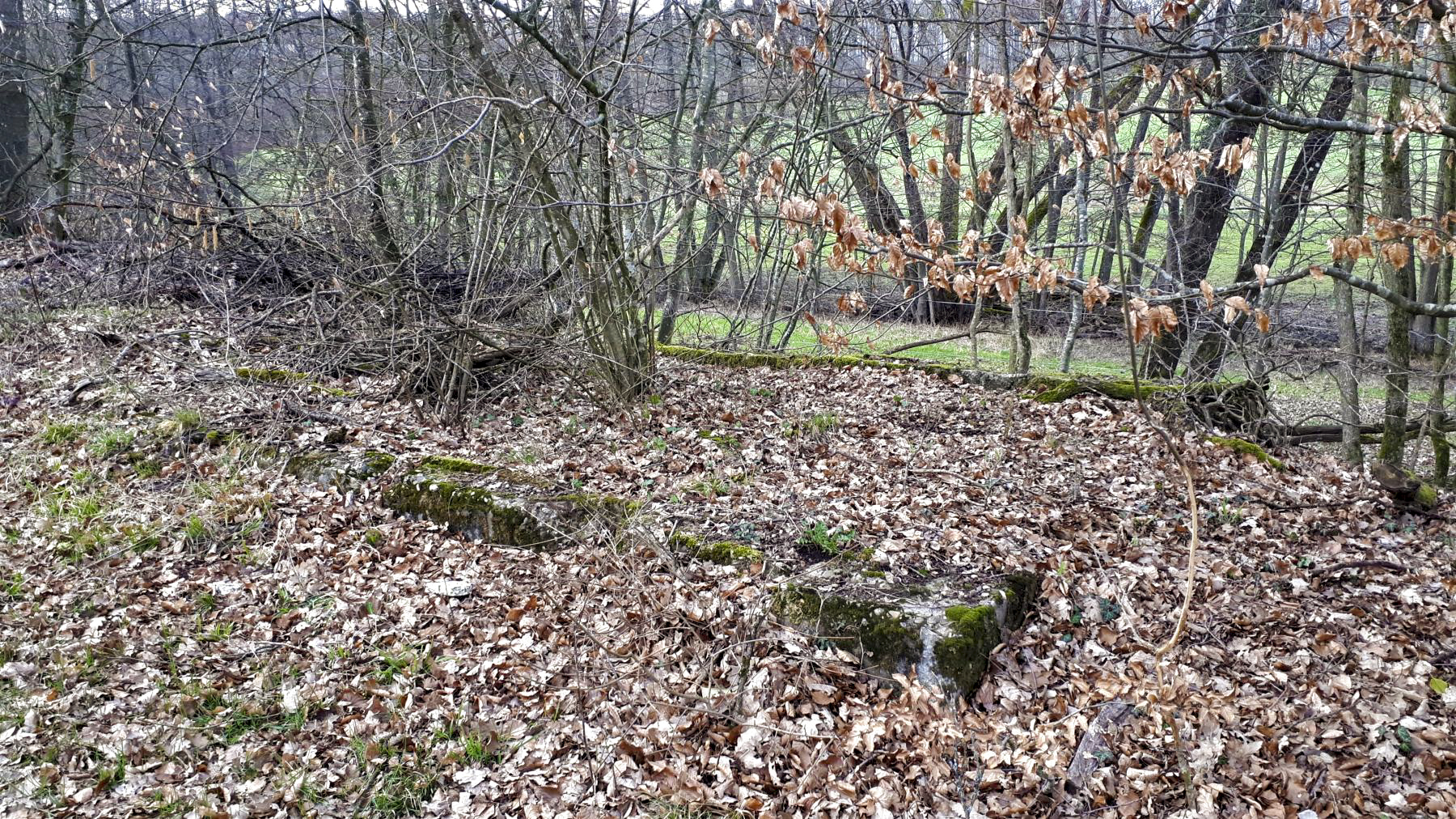 Ligne Maginot - FROESCHWILLER - (Dépôt de Munitions) - Fondation du poste de garde à l'entrée