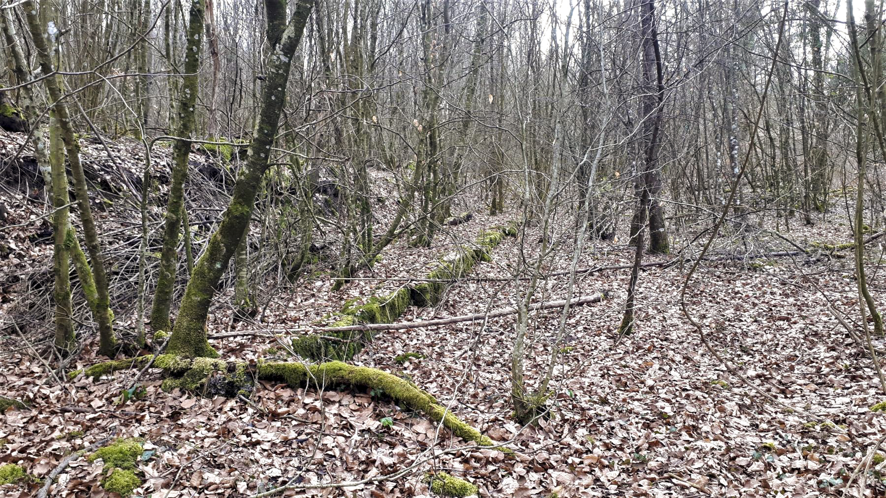 Ligne Maginot - FROESCHWILLER - (Dépôt de Munitions) - Fondation dans l'alvéole de stockage