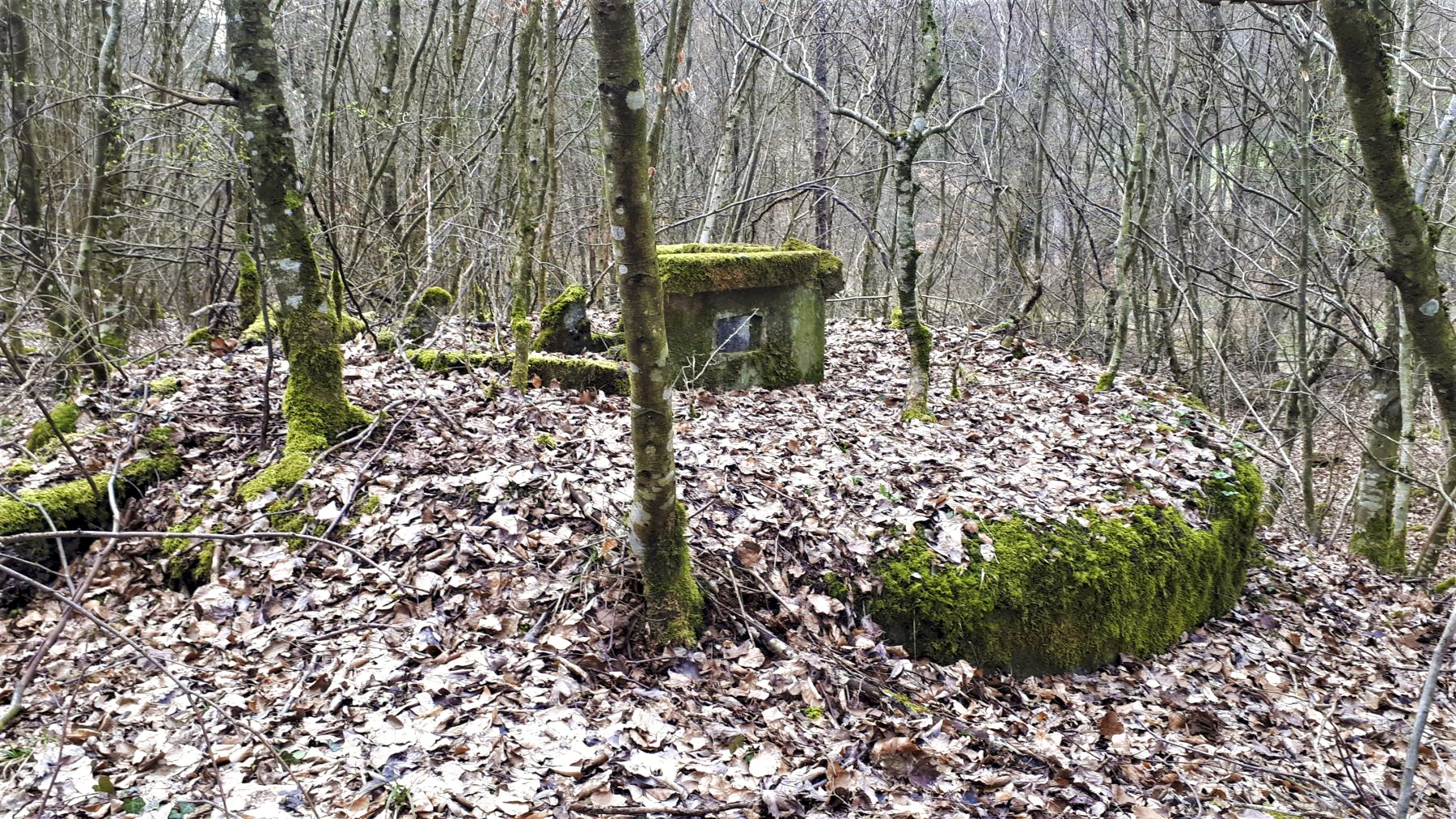 Ligne Maginot - FROESCHWILLER - (Dépôt de Munitions) - Réservoir d'eau potable