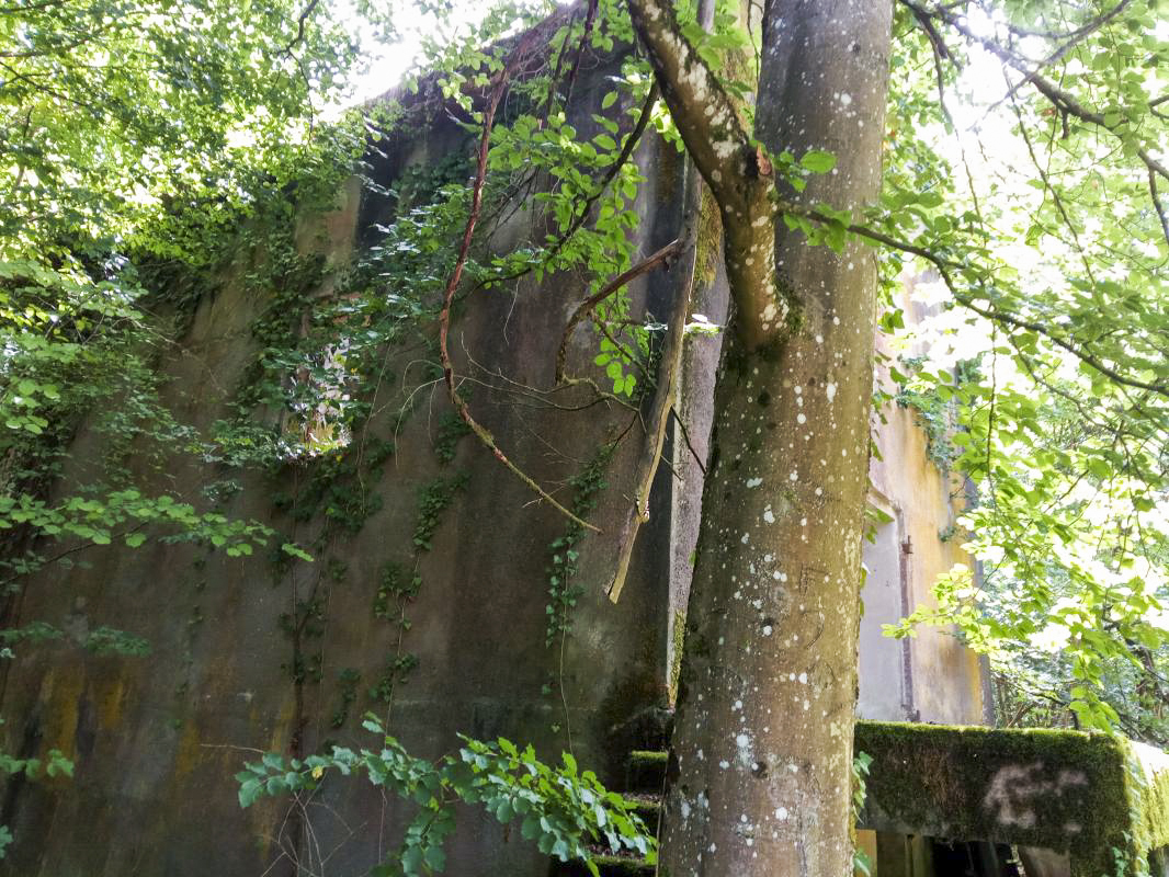 Ligne Maginot - FROESCHWILLER - (Dépôt de Munitions) - Vue sur l'entrée et le quai de chargement